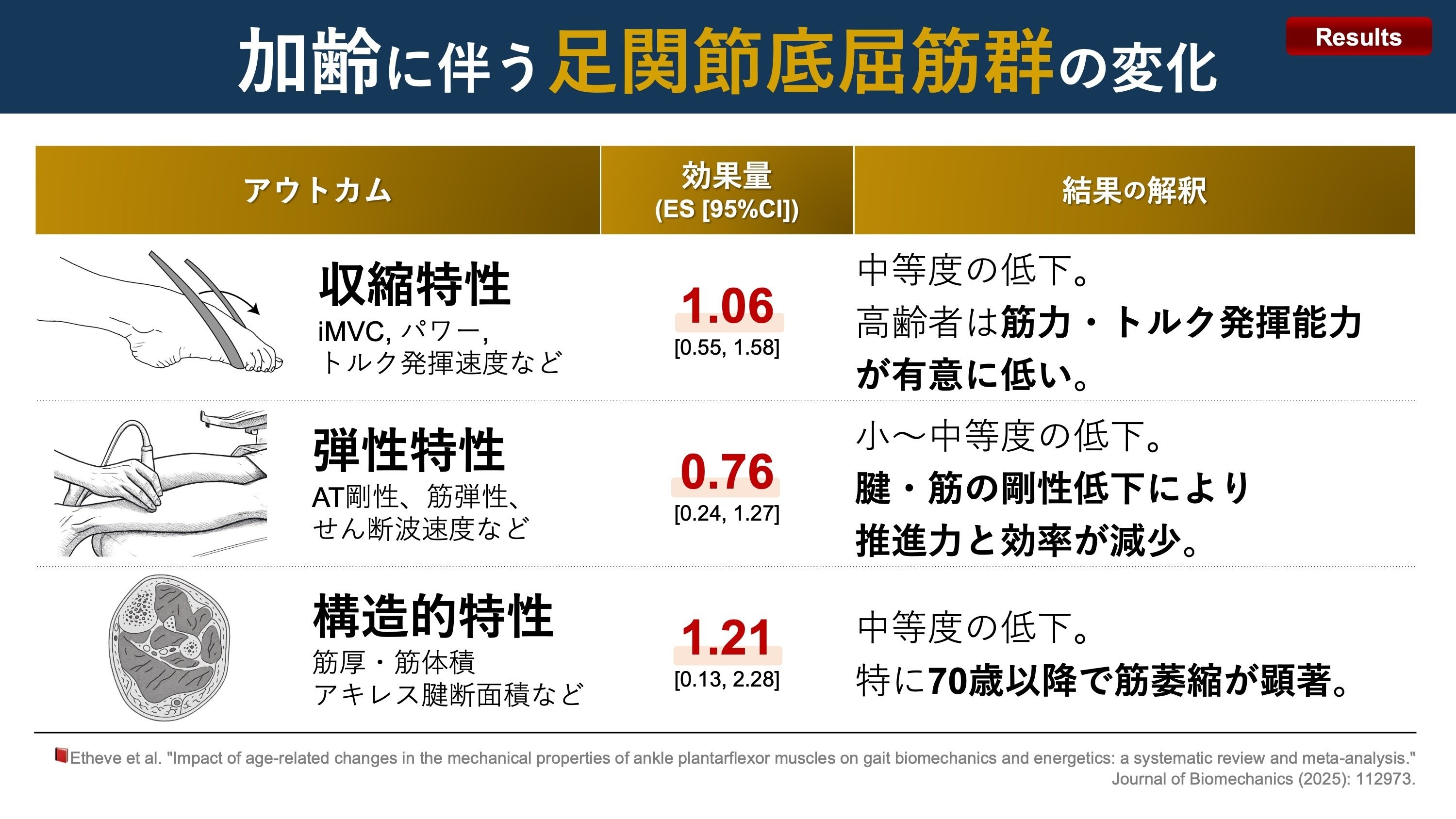 筋肉反射応用治療学 筋肉反射応用治療学 (大型本) 伊東 聖鎬 (著)
