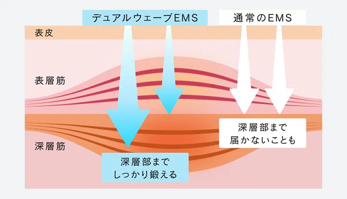リフトブラシのEMSはデュエルウェーブだから深層部まで届く