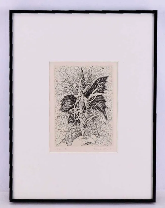銅版画家清原啓子作品の細密描画の秘密にせまる、動画の編集完全版です