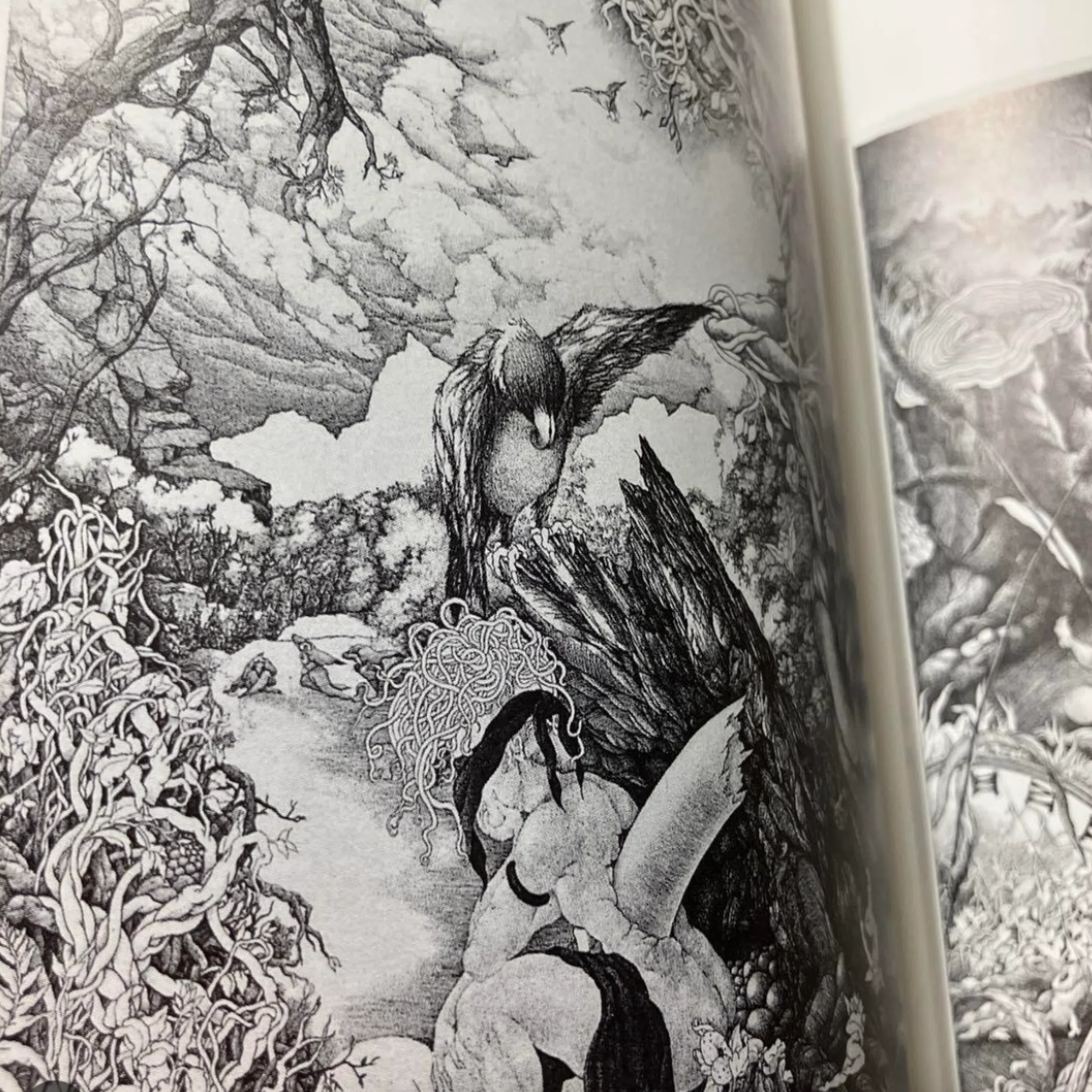 銅版画家清原啓子作品の細密描画の秘密にせまる、動画の編集完全版です