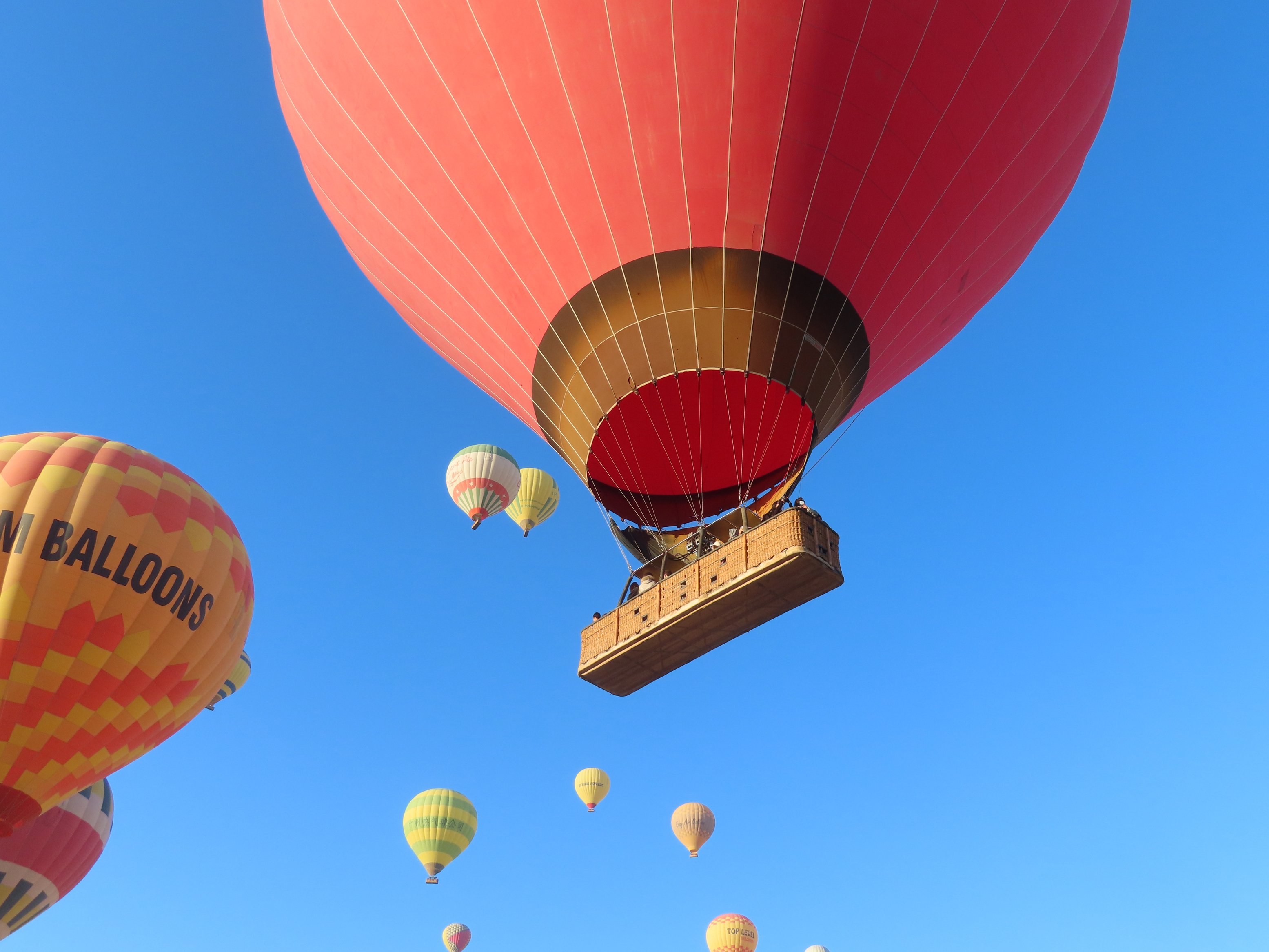 朝の大空に乗る——ルクソール熱気球（Alaska Balloons）【海外での記憶