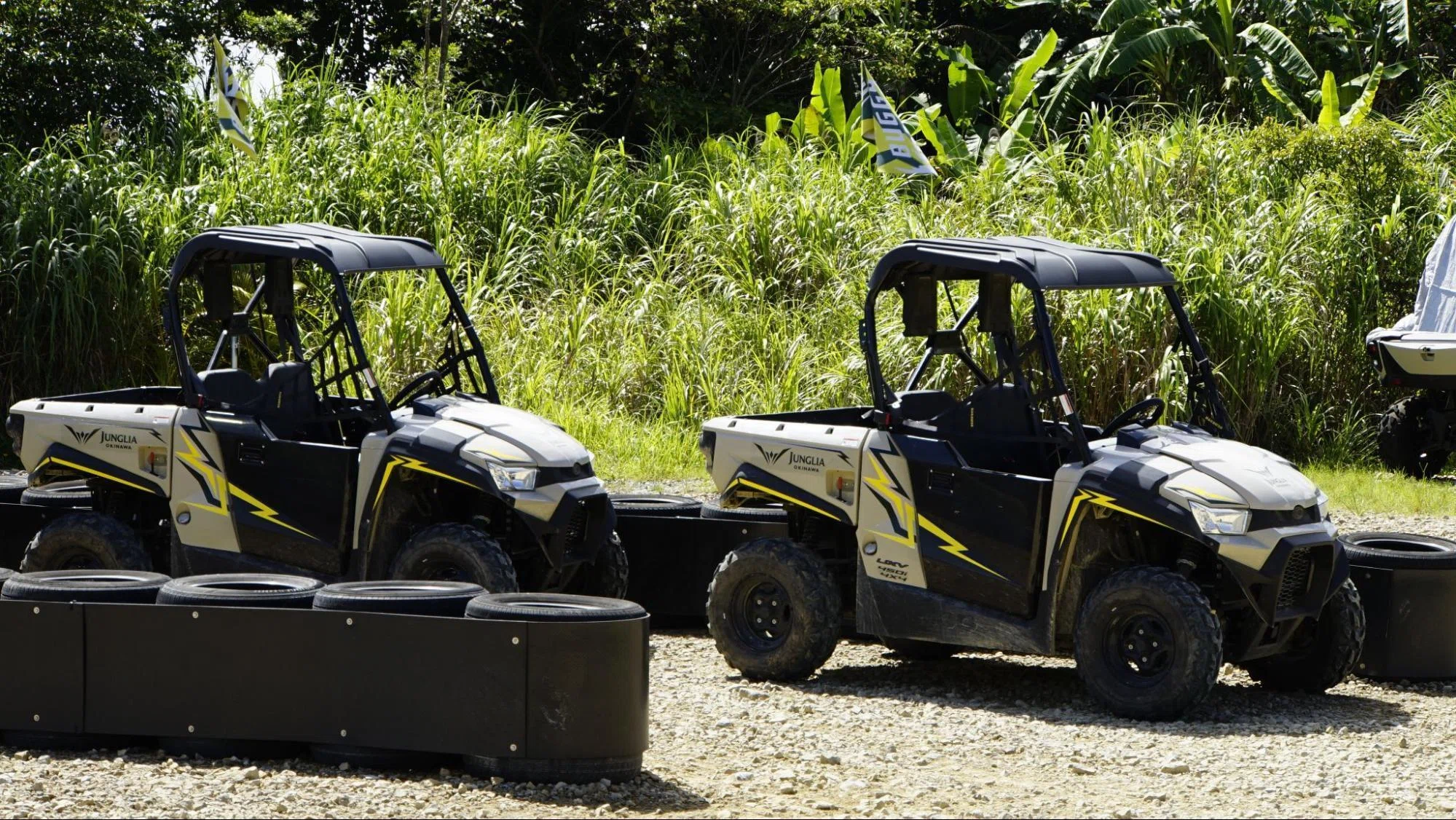 ジャングルを駆け抜ける爽快感！ジャングリア沖縄「BUGGY VOLTAGE」で 