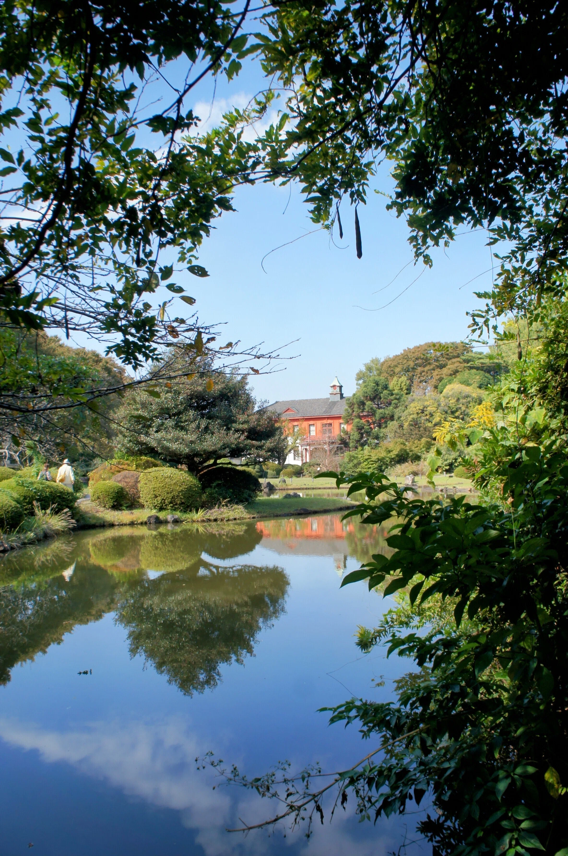 レトロな建物を背景にした日本庭園。小石川植物園の日本庭園。｜niwa_emon