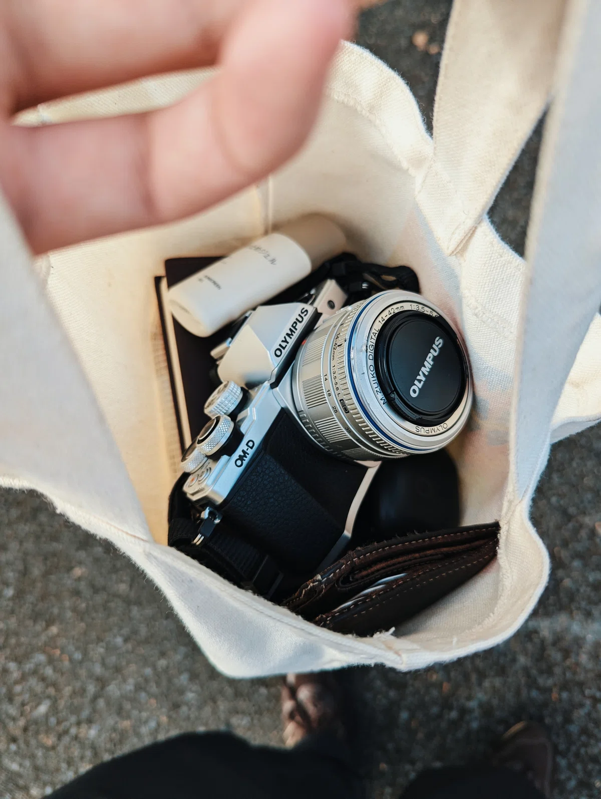 E-M10 Mark2を2025年にカメラ初心者が買った話 - 作例多｜ふたたまり