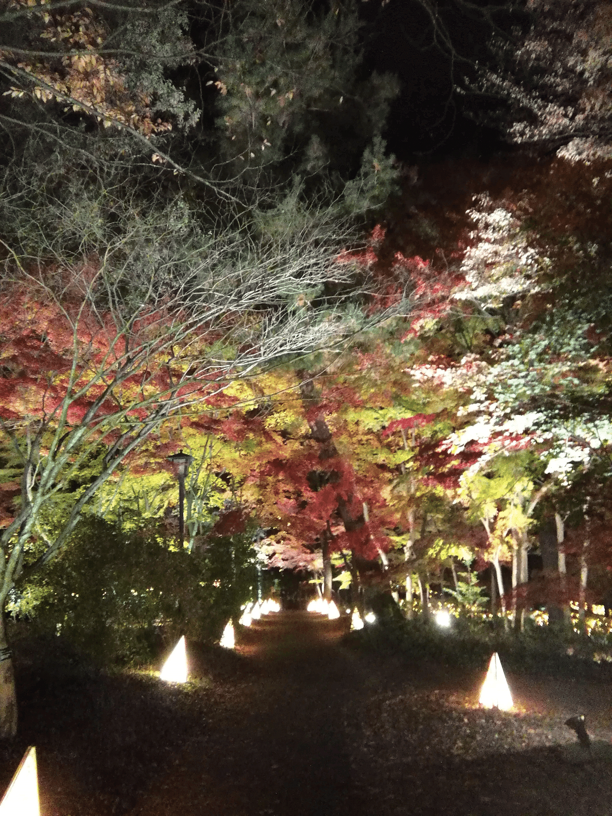 杜野凛世と巡ってほしい、全国47都道府県100箇所の旅｜糸魚