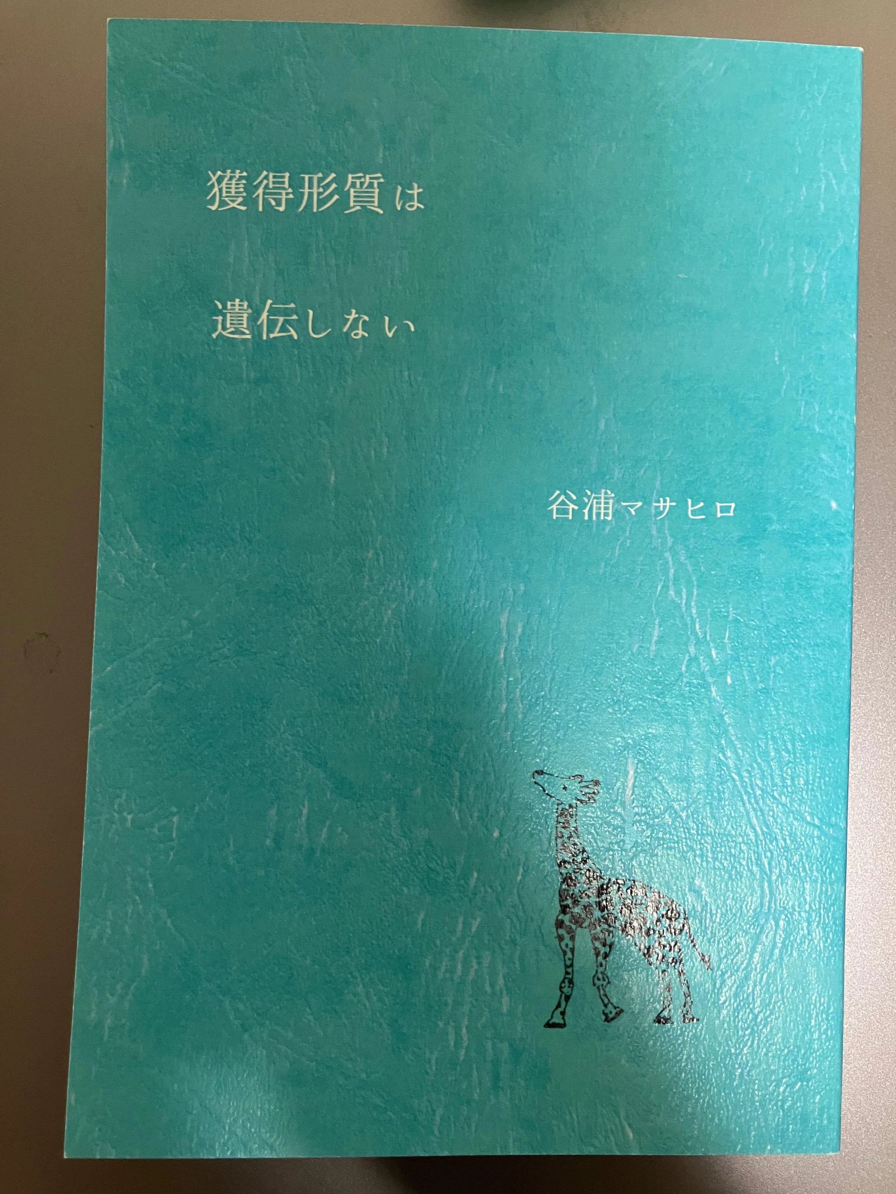 ZINEフェス東京と浅草散歩｜海人（蒔田涼）@文学フリマ東京