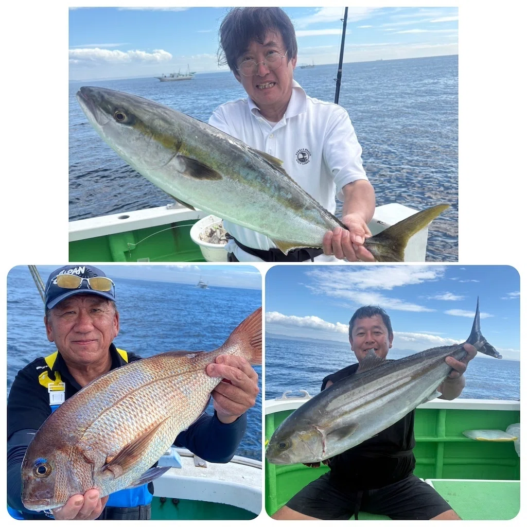 泳がせ】ワラサ3.5kg、カンパチ4kgも食いついた！【真鯛】最大1.7kgを