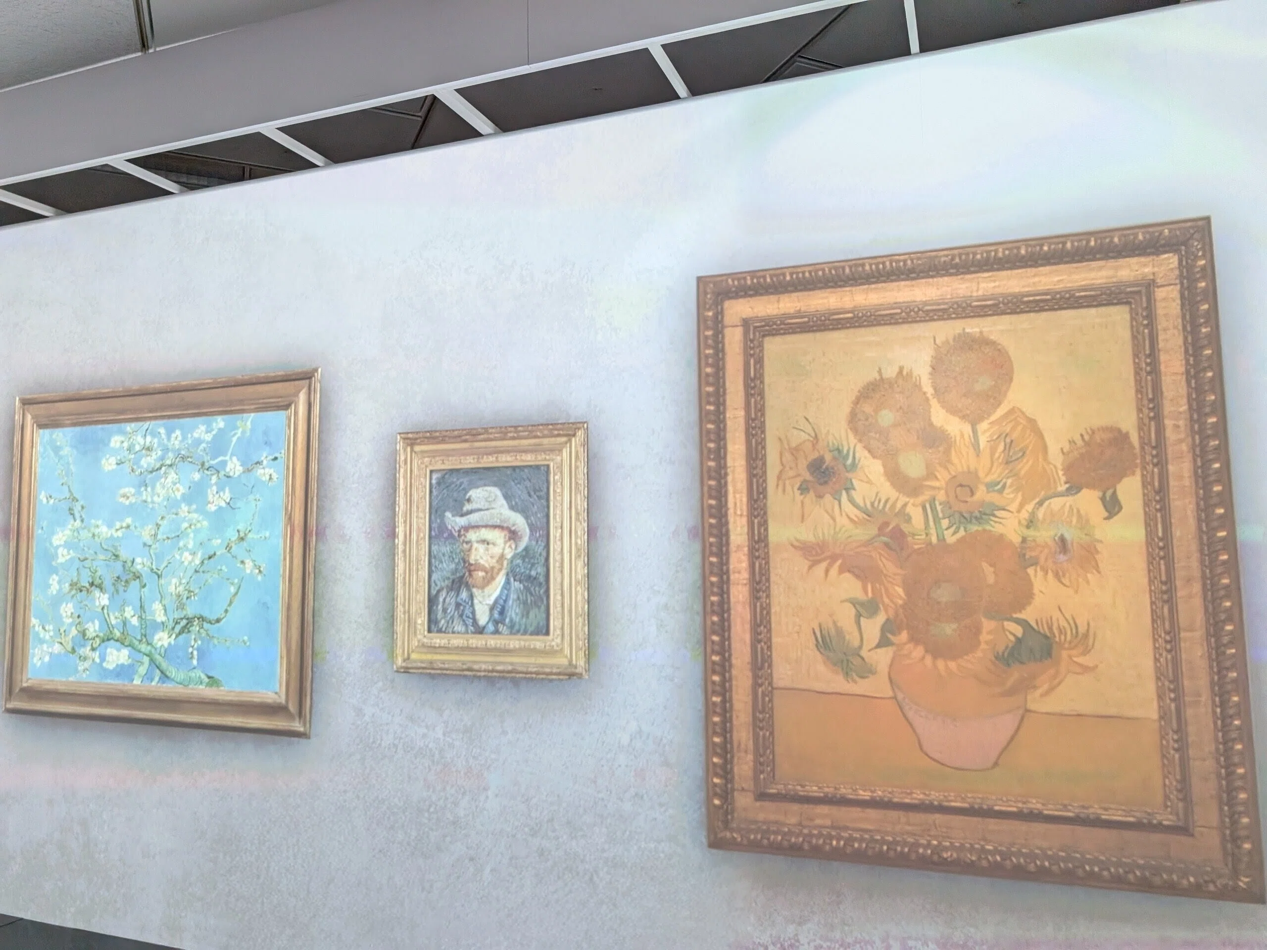 ゴッホ展 家族がつないだ画家の夢（東京都美術館）｜少佐のノオト