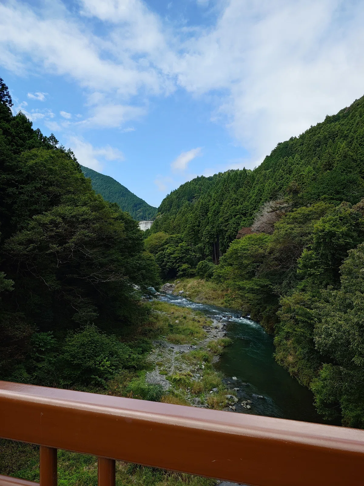 10月︰奥多摩の川沿いを歩く | 古里駅→奥多摩駅、もえぎの湯|sora