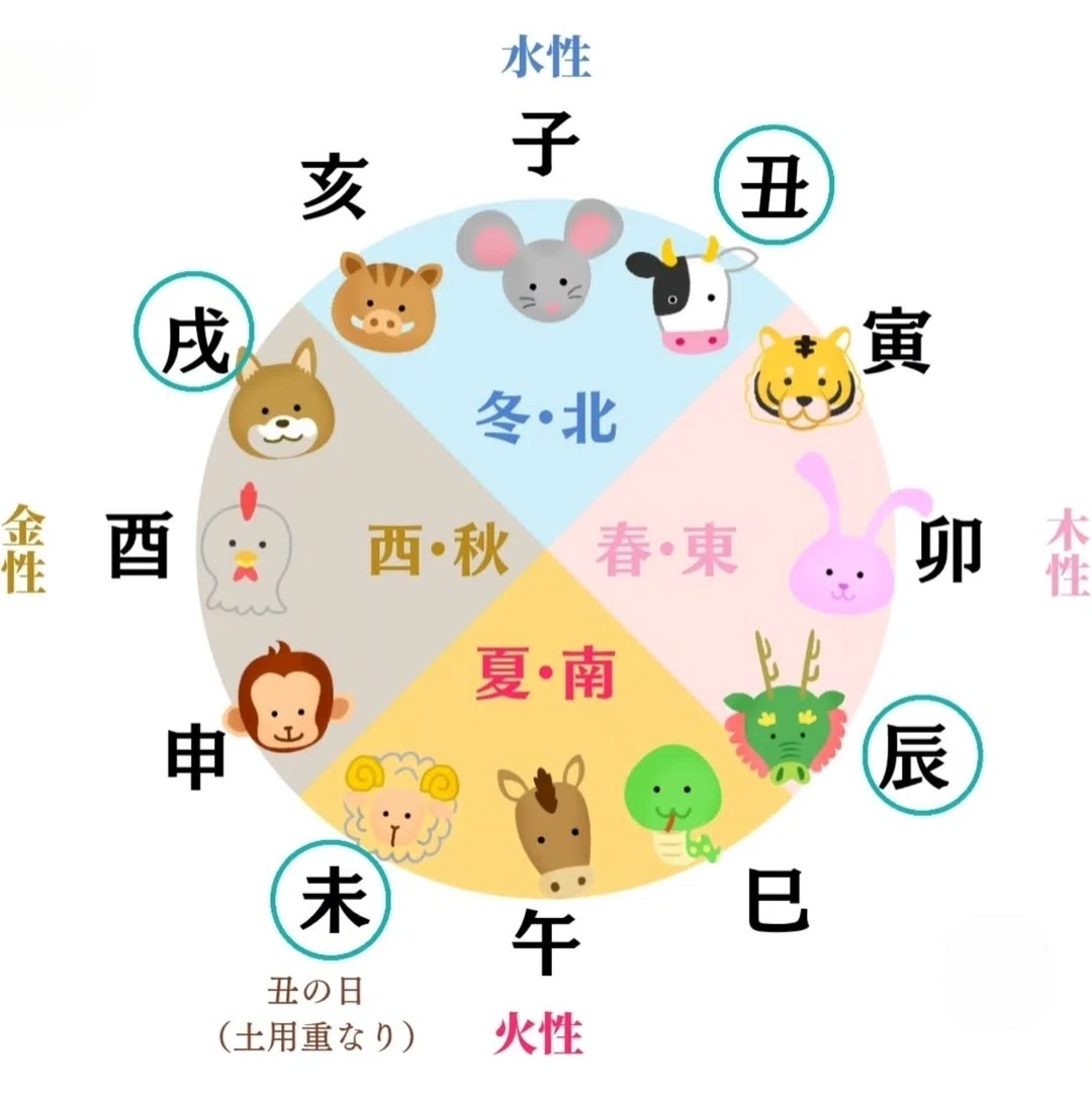 絶版 算命学 干支240分類 超希少 激レア 四柱推命 高尾義政監修 本