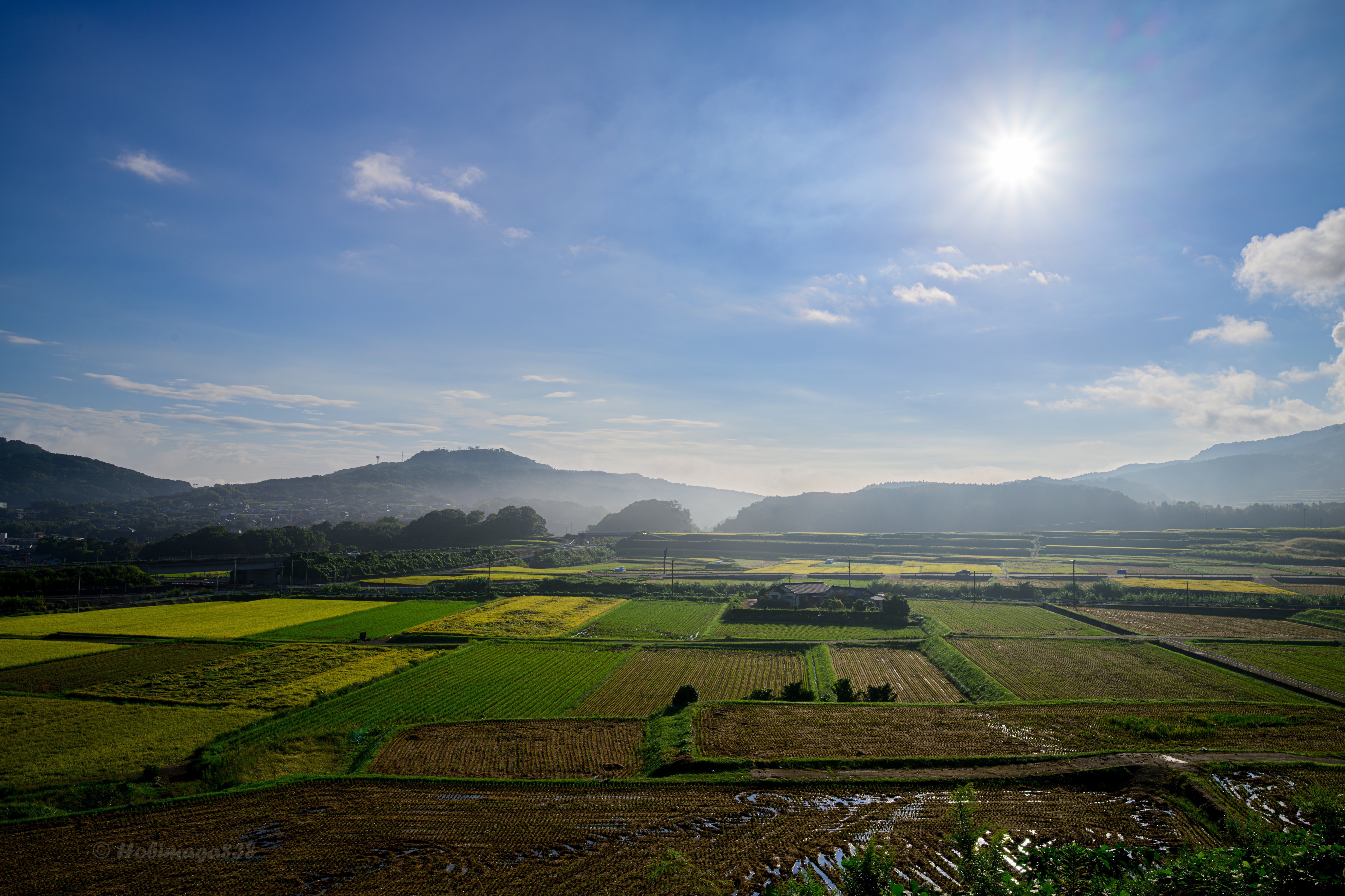 落ち着いて下さい、ほびマガさん（レンズの話です）｜ほびマガ