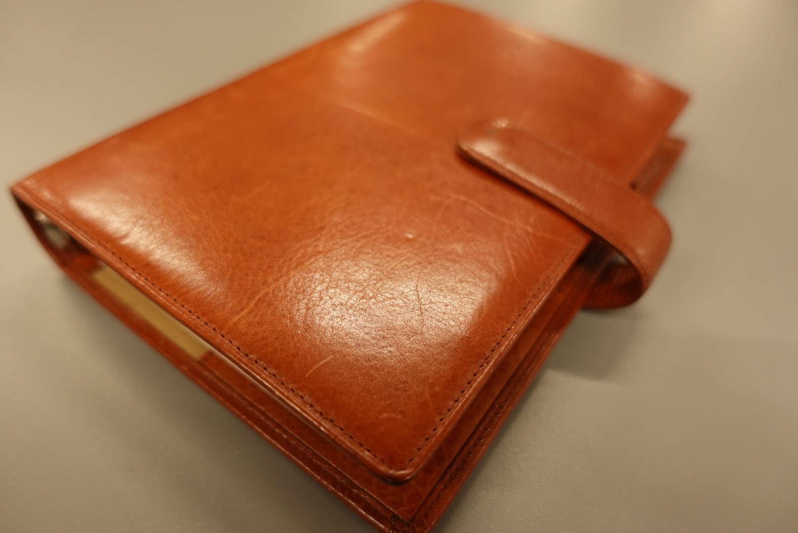 パパから貰った約20年前のダヴィンチのシステム手帳は、どうやら