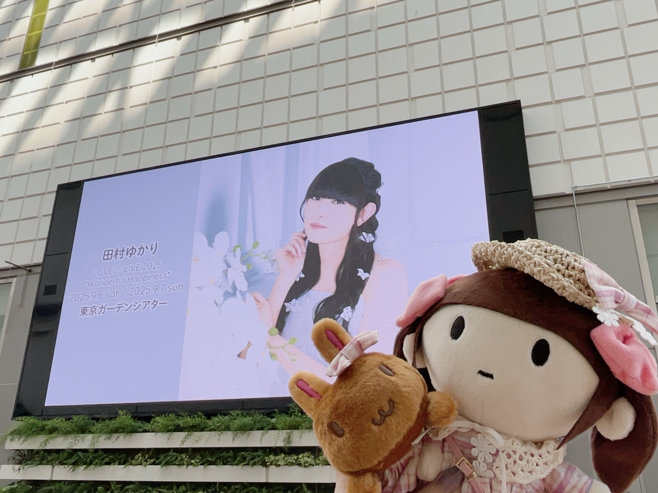 田村ゆかり パペット くろすけ未開封 田村ゆかり パペット くろすけ未開封 2025年最新】田村ゆかり