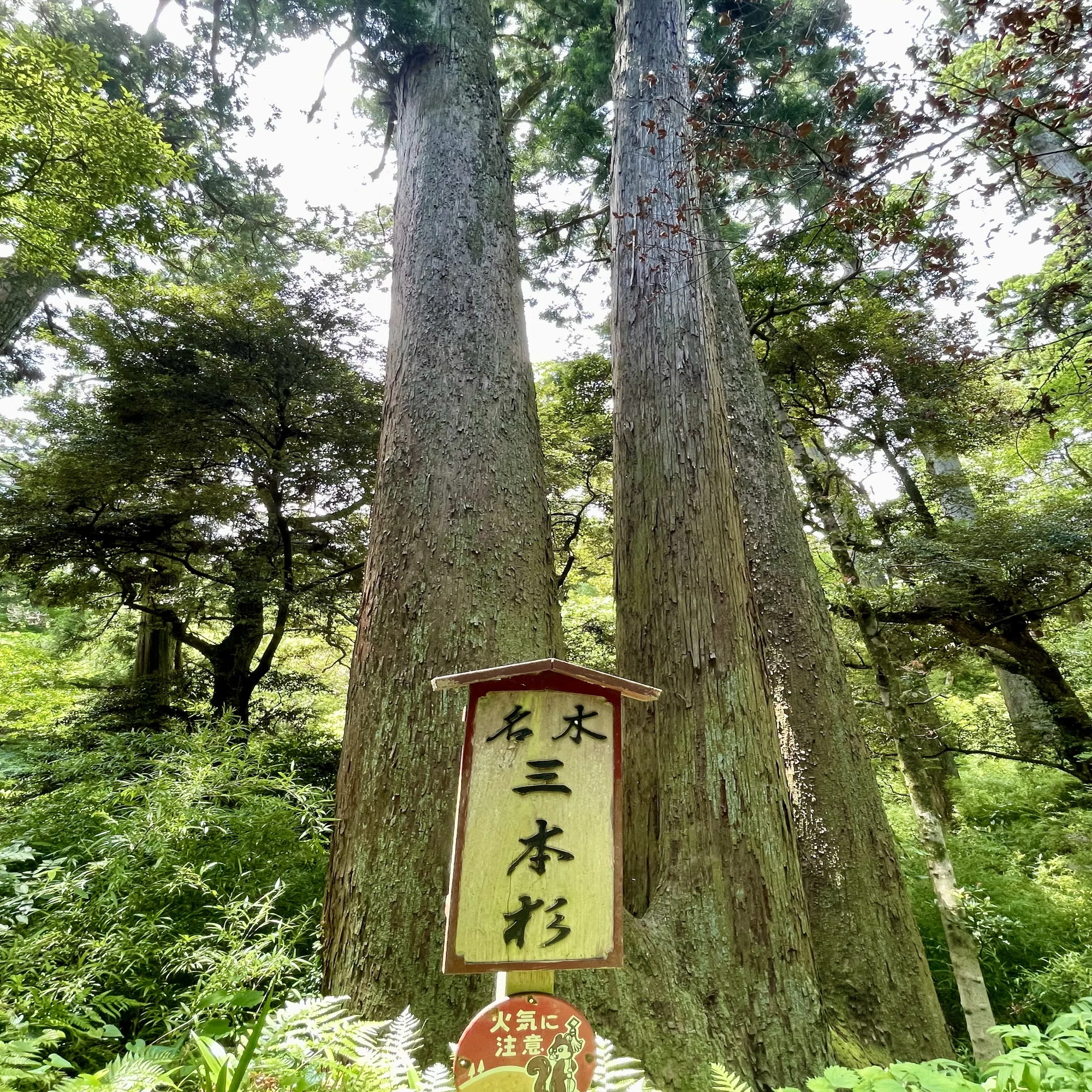 日本で唯一！四方懸造りの天空観音堂｜【笠森観音】｜Tomo＠旅と美食の 