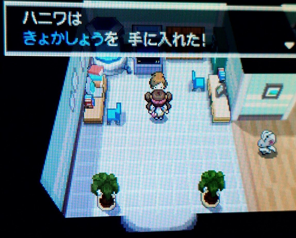 ポケモンBW2】自然保護区で色違いオノノクスを捕まえる｜夢咲ハニワ