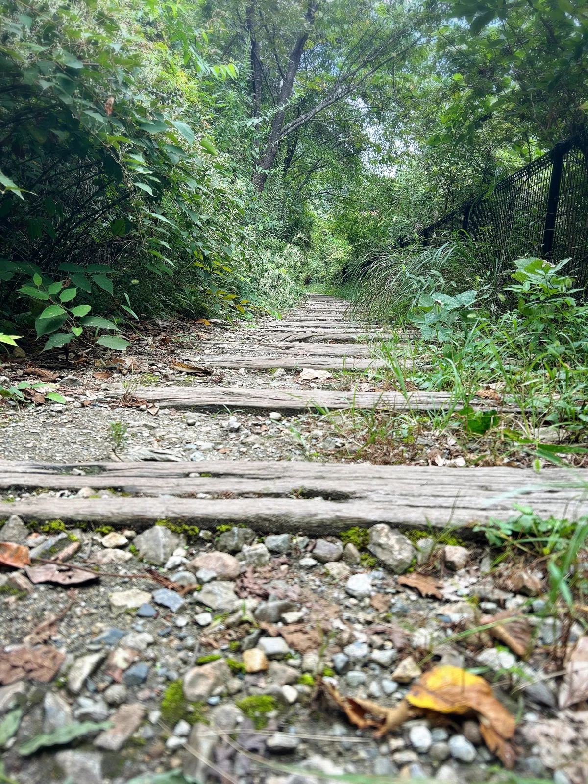 [Hyogo Prefecture] Fukuchiyama Line Abandoned Track Walk | A 5km Hike ...