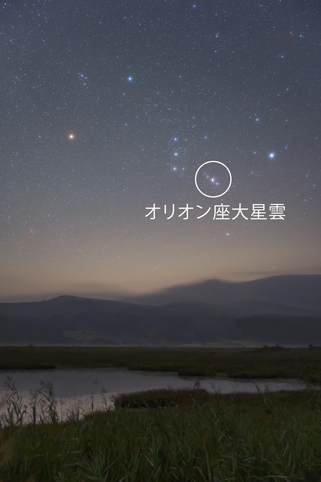星景写真を撮るカメラに、私がニコンZをお勧めする理由｜星空写真家