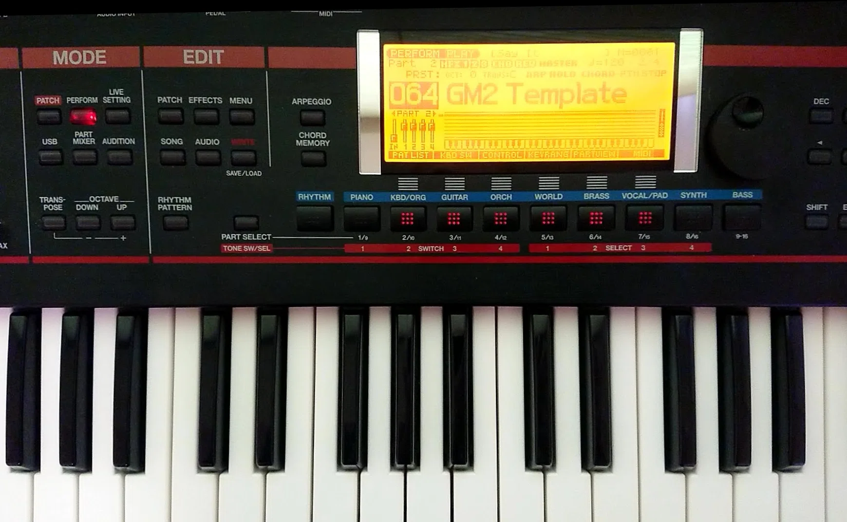 JUNO-G（GM）+ ドリトル｜Akihiko YAMAZAWA