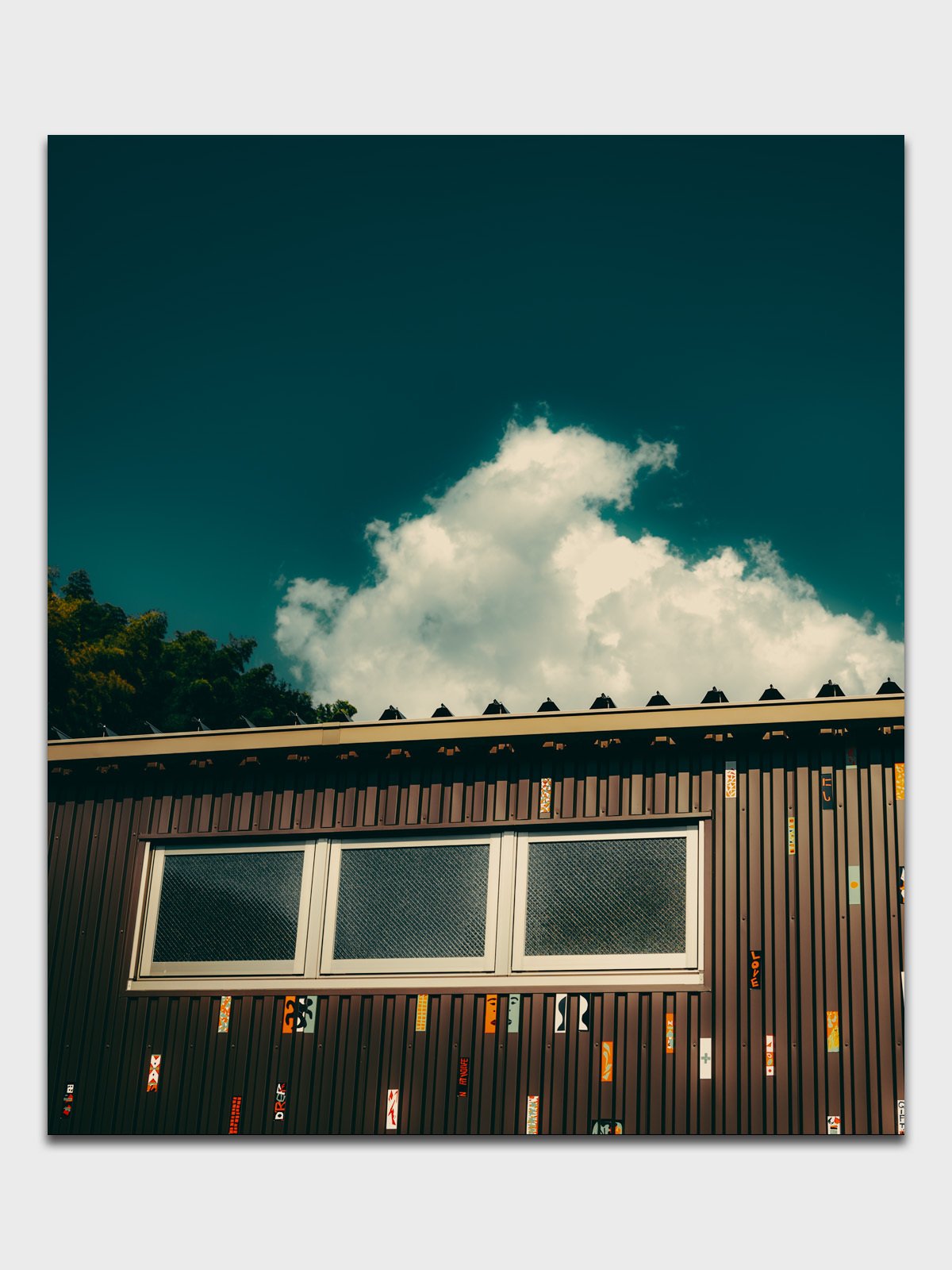 神レンズって本当？【Nikkor Z 24-120mm f4 S】｜なぁ Hide