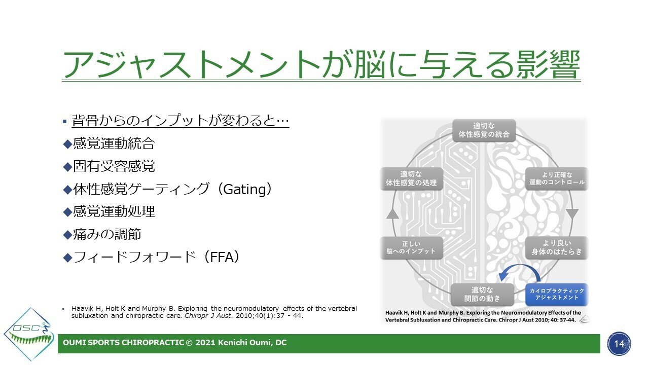 BIO-KINETICS セミナー資料日本語！カイロ神経学！レアテクニック！整体 BIO-KINETICS セミナー資料日本語！カイロ神経学！レア
