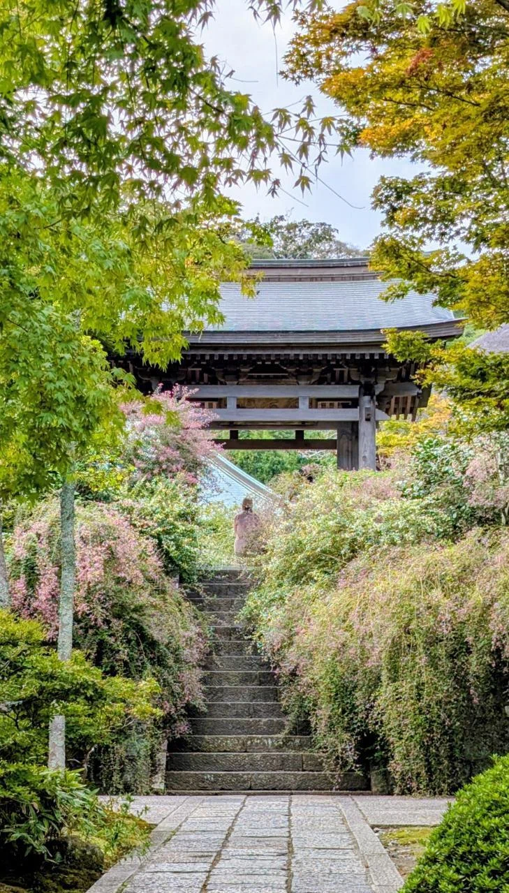 香合 黒柿 吉田華正 扇面 末広 扇 山中漆器 石川県の漆芸家 秋草蒔絵