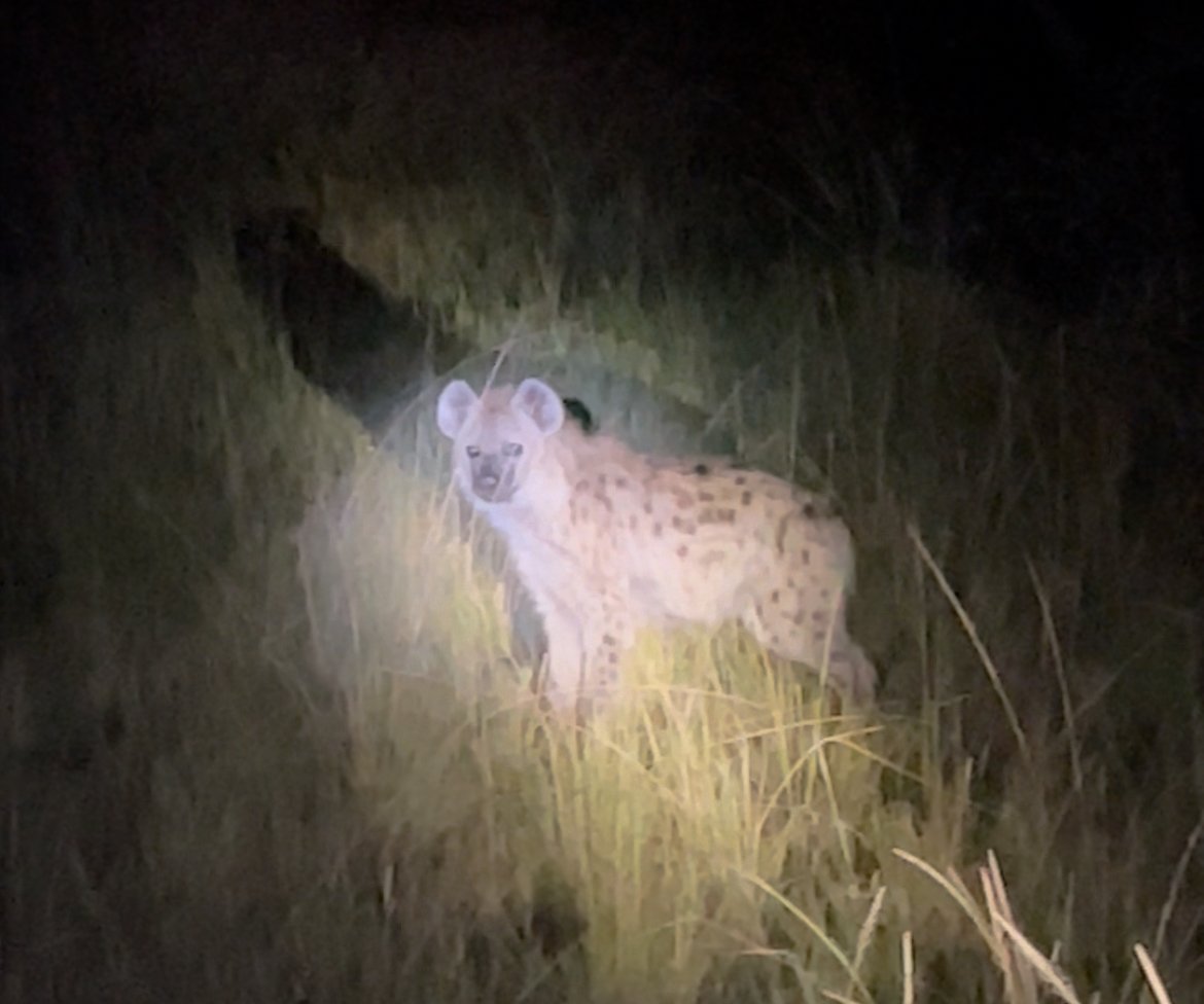 林武 薔薇 林武 額装 ばら 花 複製画 落款｜アート・インテリア・油絵・油彩・ 米田　実　豹　絵画