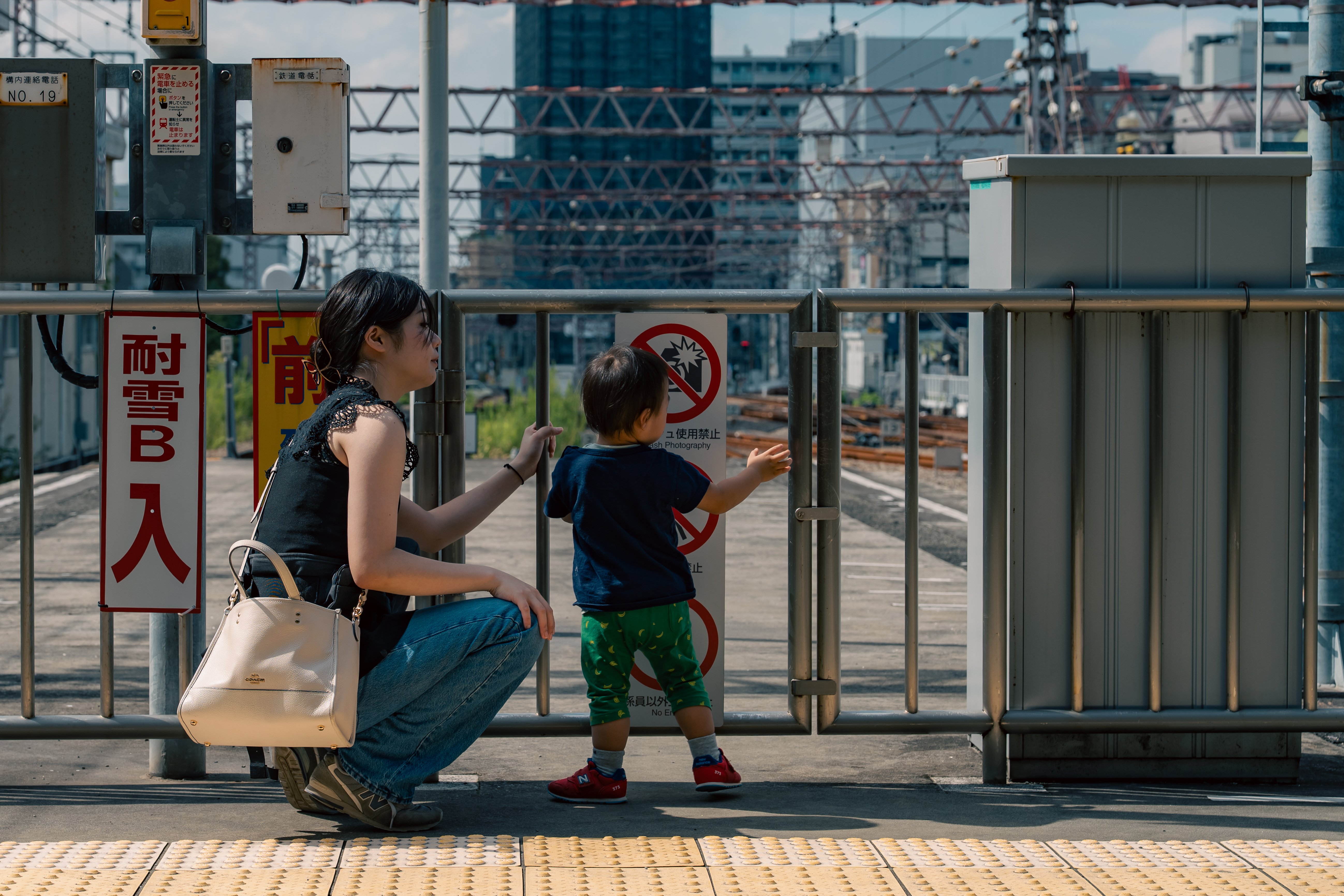 子育て世代のための万能レンズ Nikon Z 24-70mm f/2.8 S II 実写