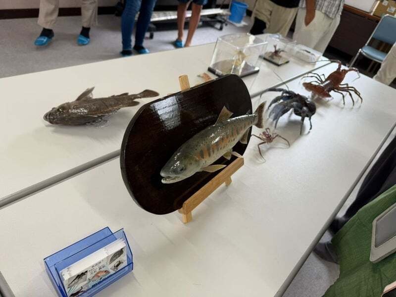 剥製講習会｜魚道部！/ 剥製師 力石眞弘 (ﾁｶﾗｲｼ ﾏｻﾋﾛ)