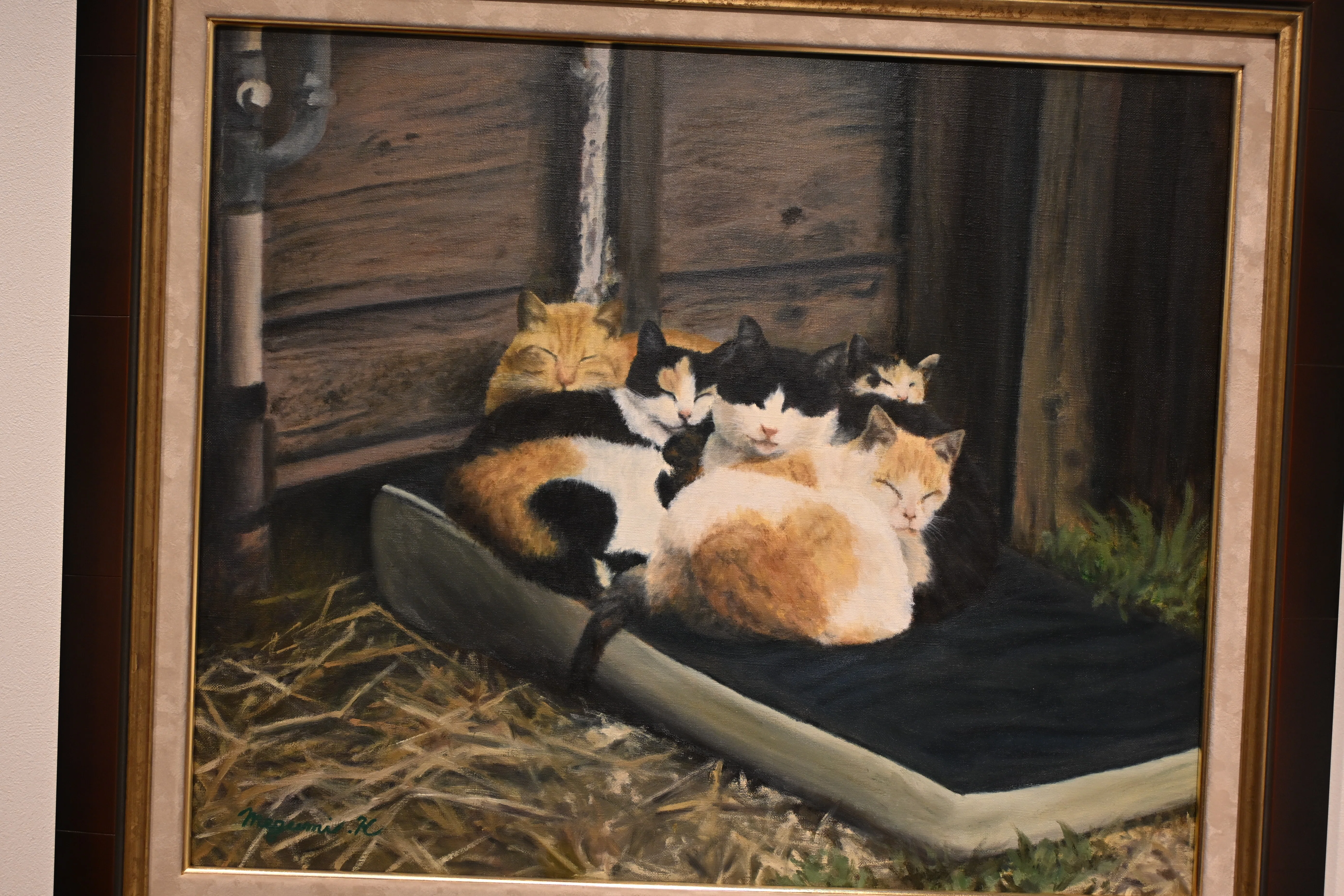小平めぐみ猫展｜桑原亘之介