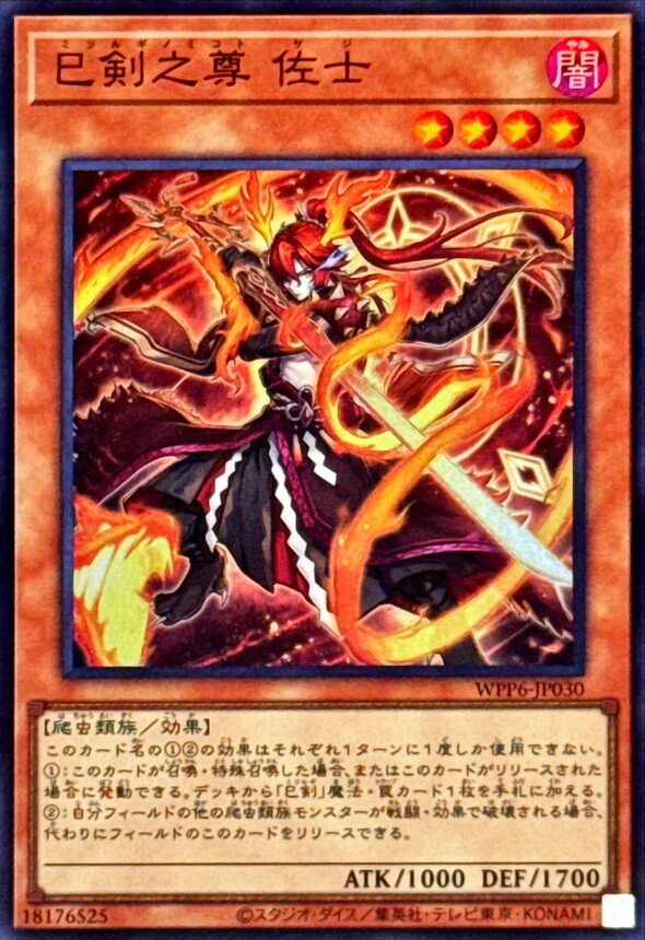 発売日翌日CS全勝優勝！翌週も上位入賞！ 元日本代表が徹底解説！ 環境