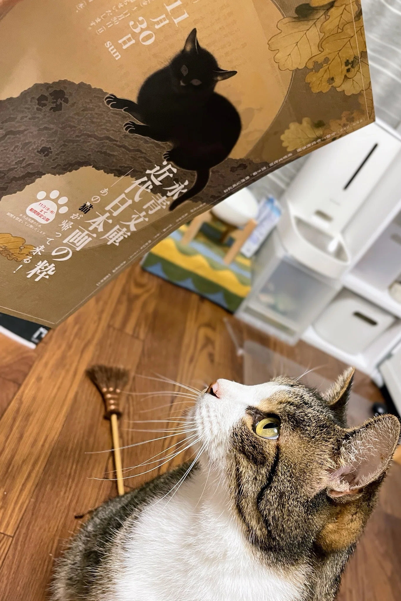 展覧会レポート】 永青文庫 近代日本画の粋 あの猫が帰って来る！ ／永