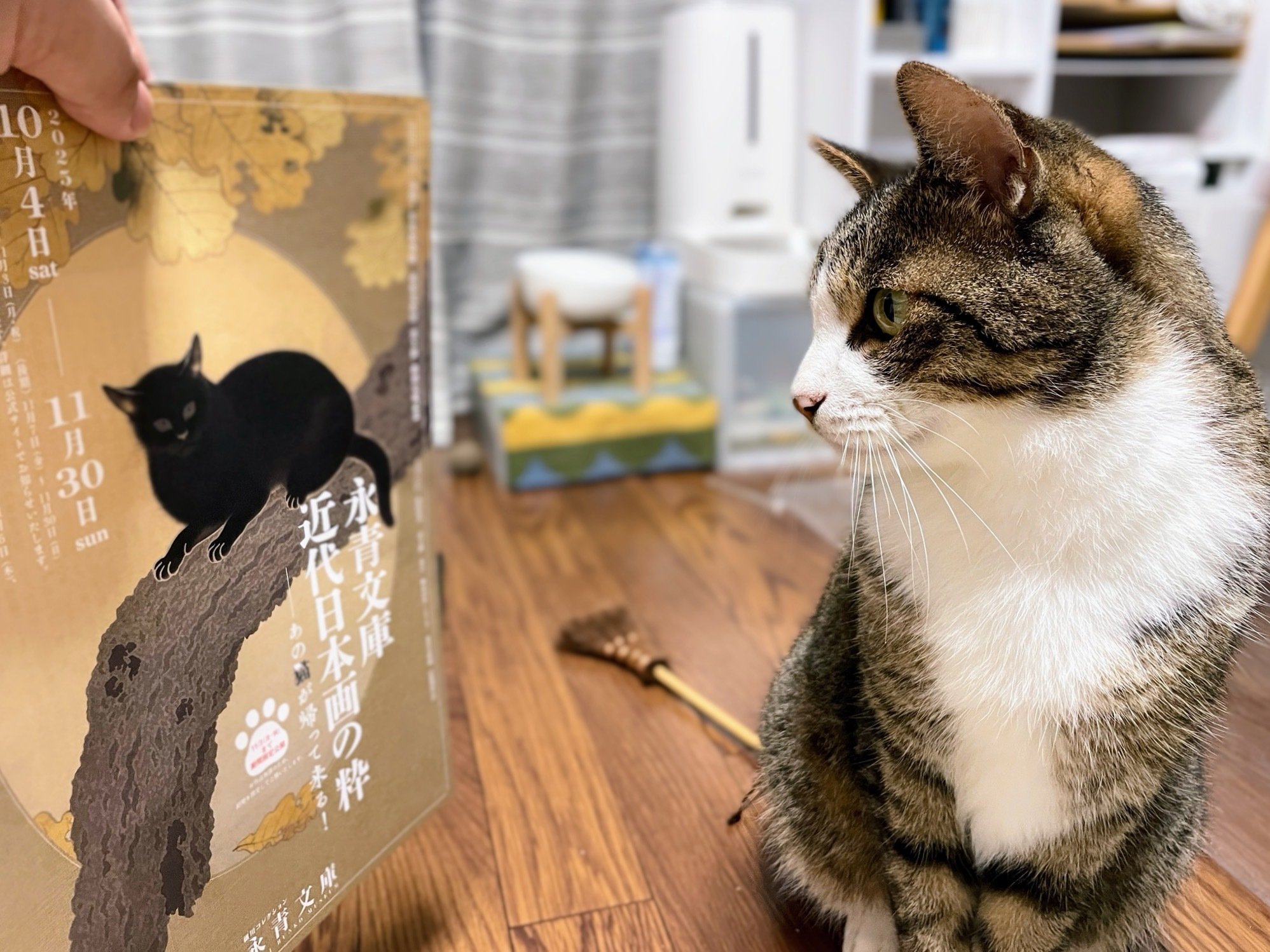 展覧会レポート】 永青文庫 近代日本画の粋 あの猫が帰って来る！ ／永