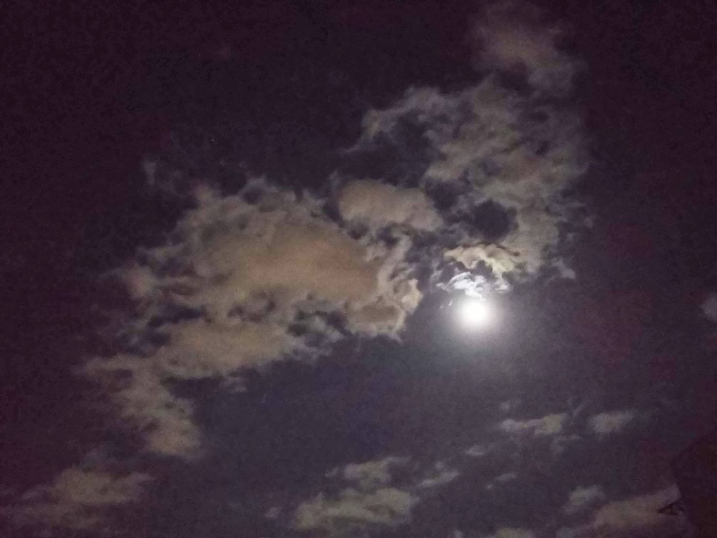 お月様が綺麗です 53740002.jpg