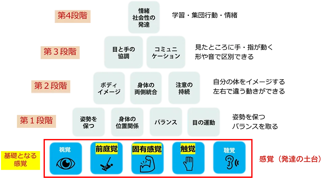 [Vision Check Sheet & Recommended Play Materials Included] Turn ...
