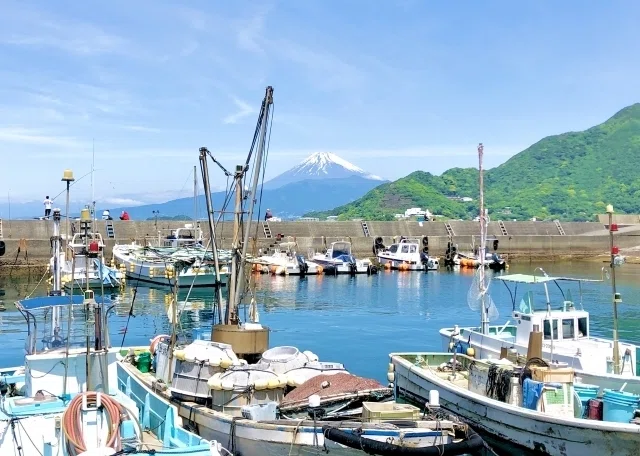 Vol364 海と暮らす希望──都会を離れて漁師になる選択肢！ 「漁師移住