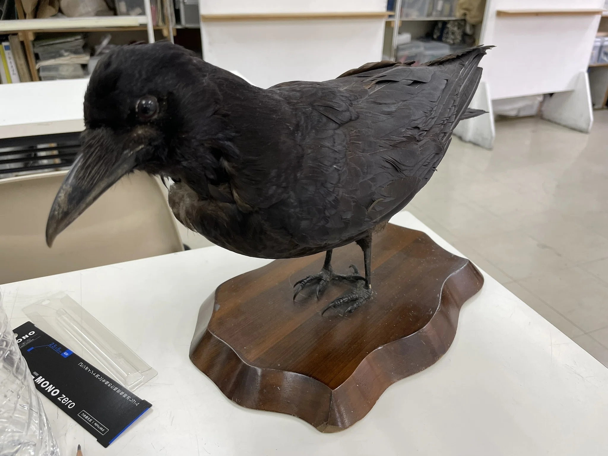 Drawing Class 3] The crow was too intense!｜フク