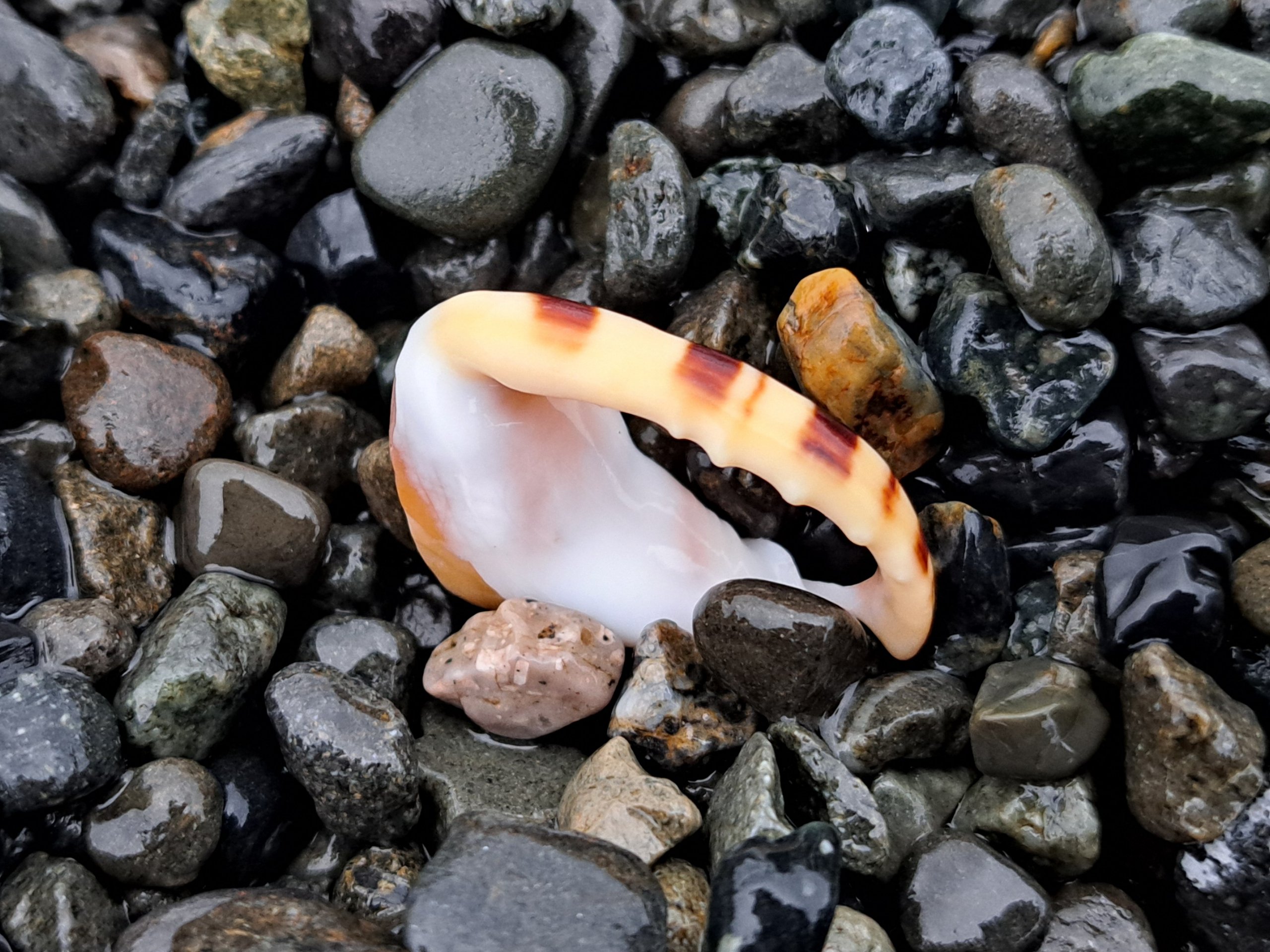 2025.10.4 沼津｜水奈