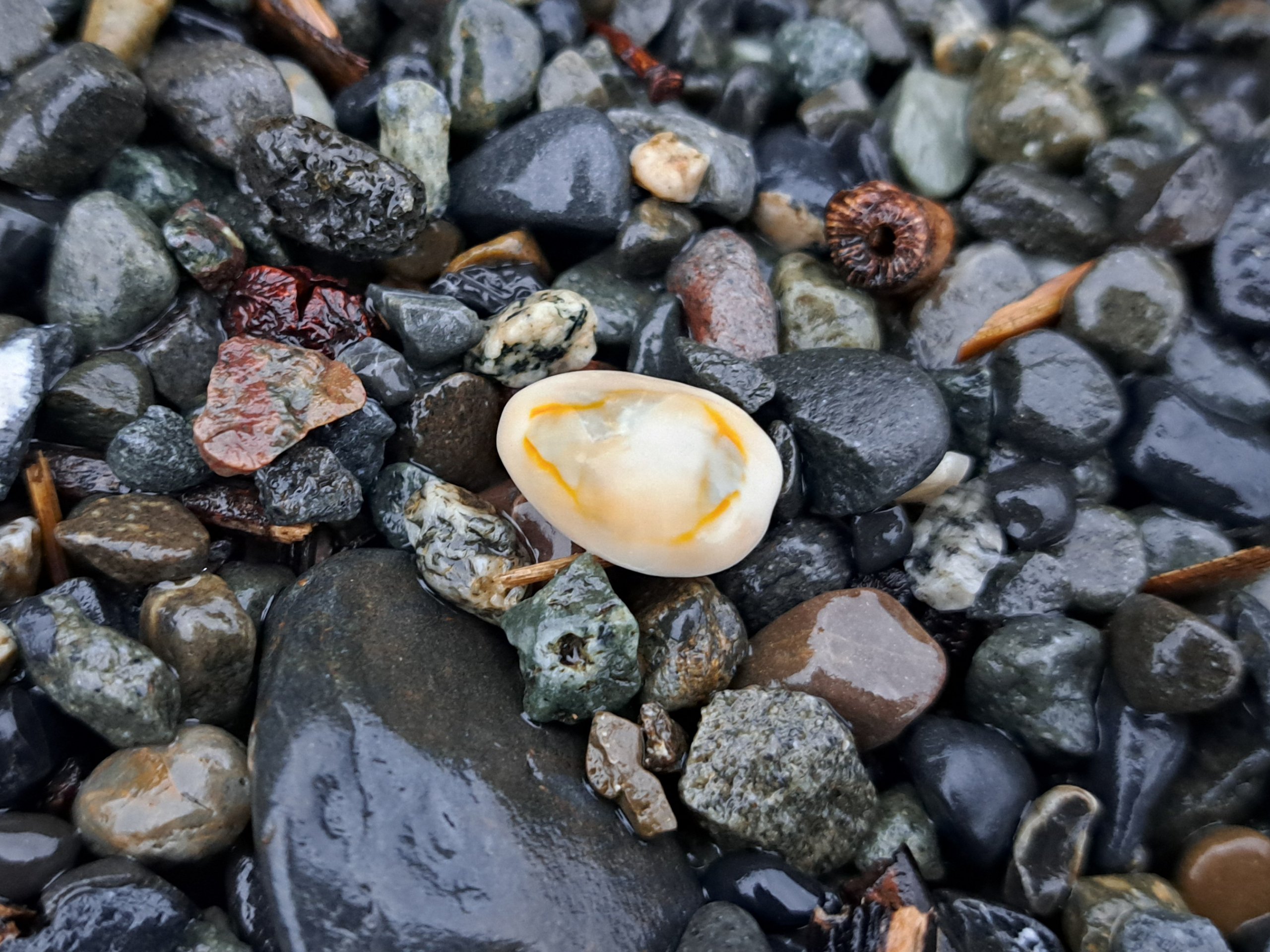 2025.10.4 沼津｜水奈