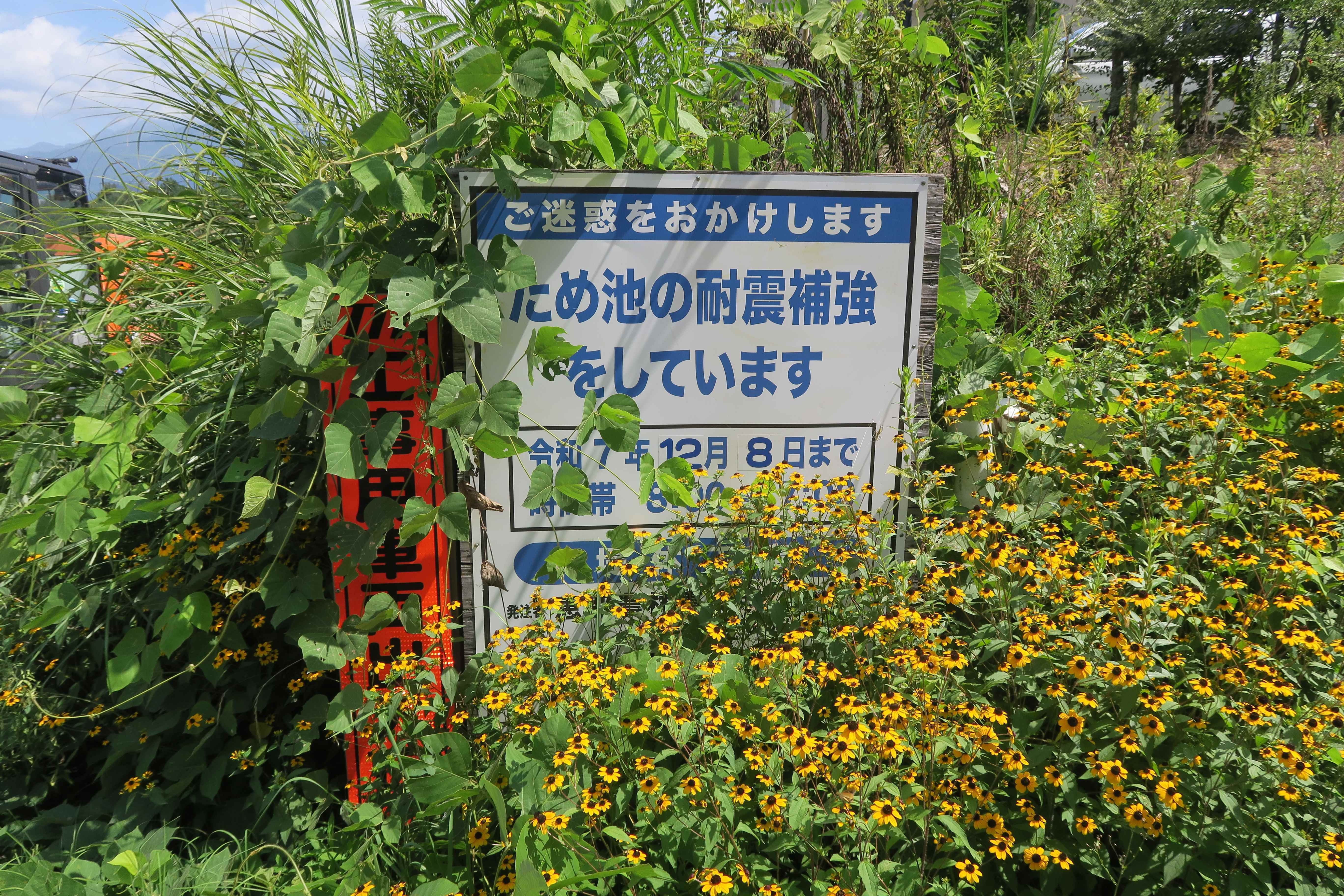 新溜池（ひょうたん池）【岐阜県中津川市E】｜改修の手が進む、巨石と