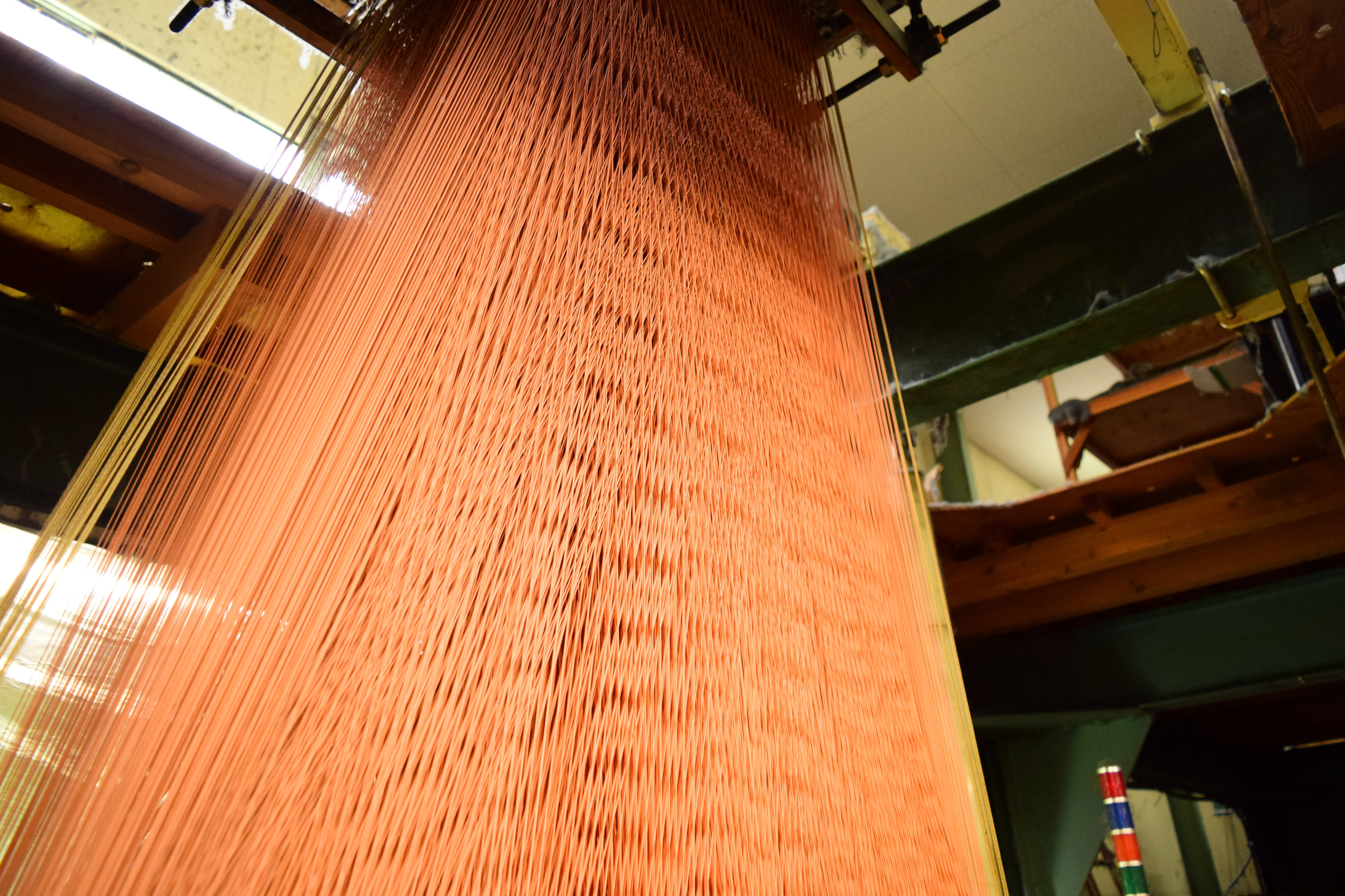 螺鈿紫檀五絃琵琶のロマンをまとう播州織ストール #2025正倉院展②