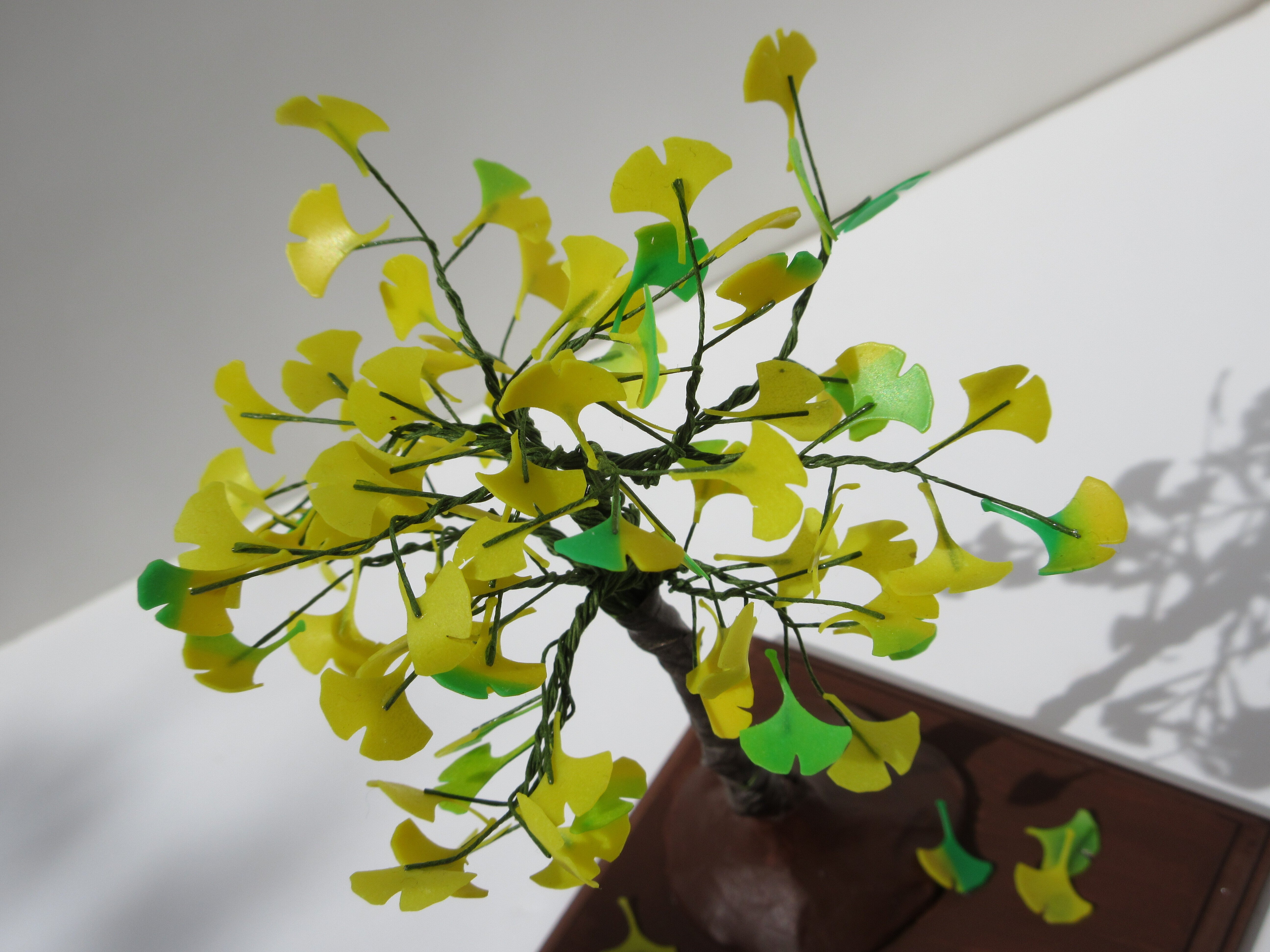 ミニチュア イチョウの木｜ミニチュアちいさん