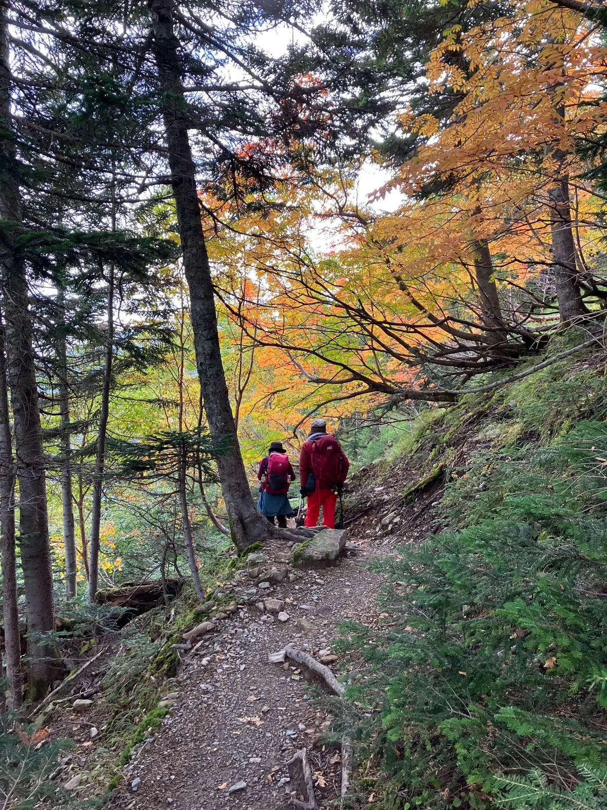 [Mt. Senjo] A descent enjoying the divine sunrise and autumn leaves of ...