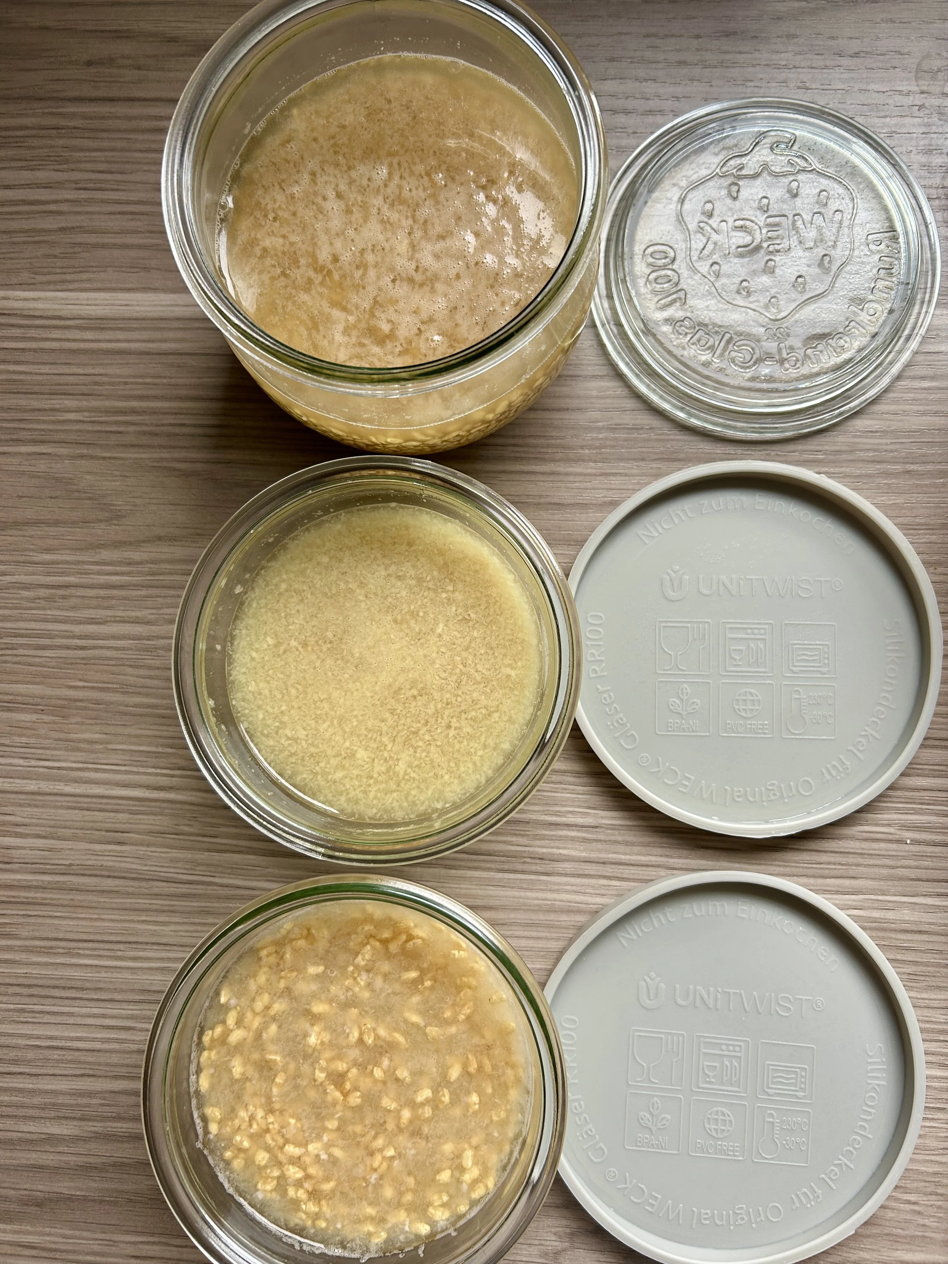 海外に住んでいると高確率で「発酵食品」自作をしだす件｜煮ても焼いて