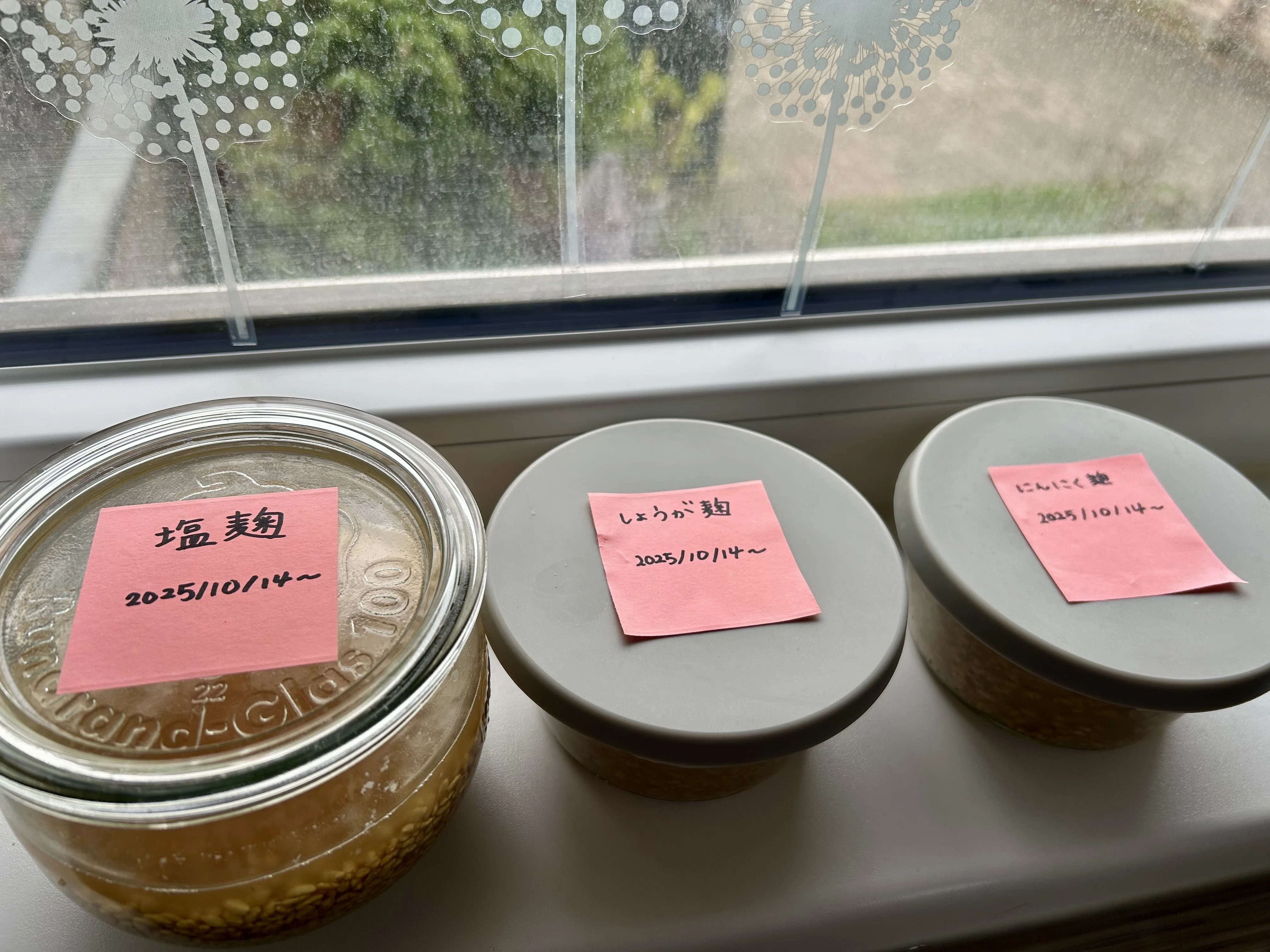 海外に住んでいると高確率で「発酵食品」自作をしだす件|煮ても焼いて 海外に住んでいると高確率で「発酵食品」自作をしだす件|煮ても焼いて