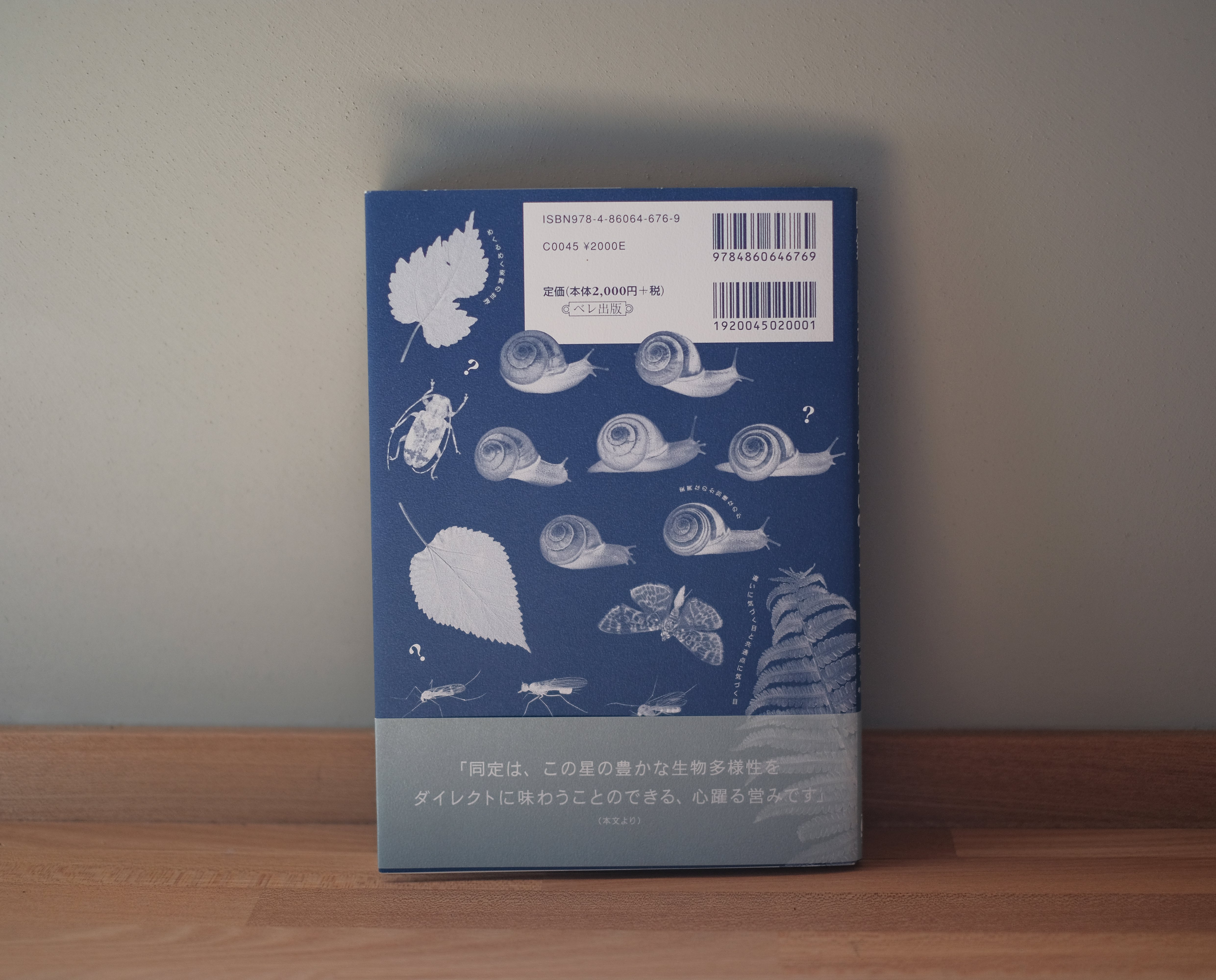決定版生物大図鑑 貝類 世界海産貝類コレクション大図鑑: 美しい世界の貝