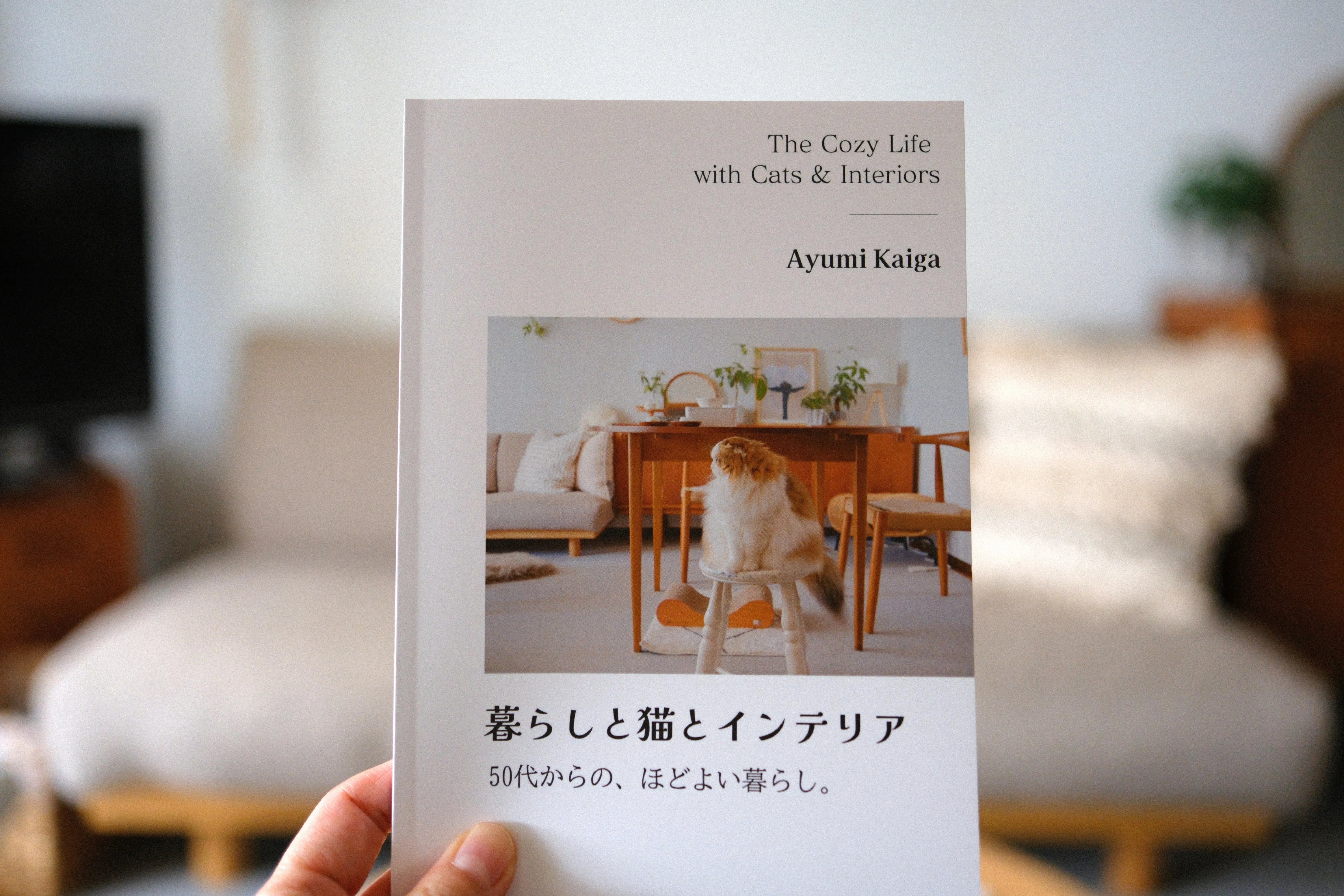 ダウンロード版ZINE】 暮らしと猫とインテリア ※冊子版リンクも