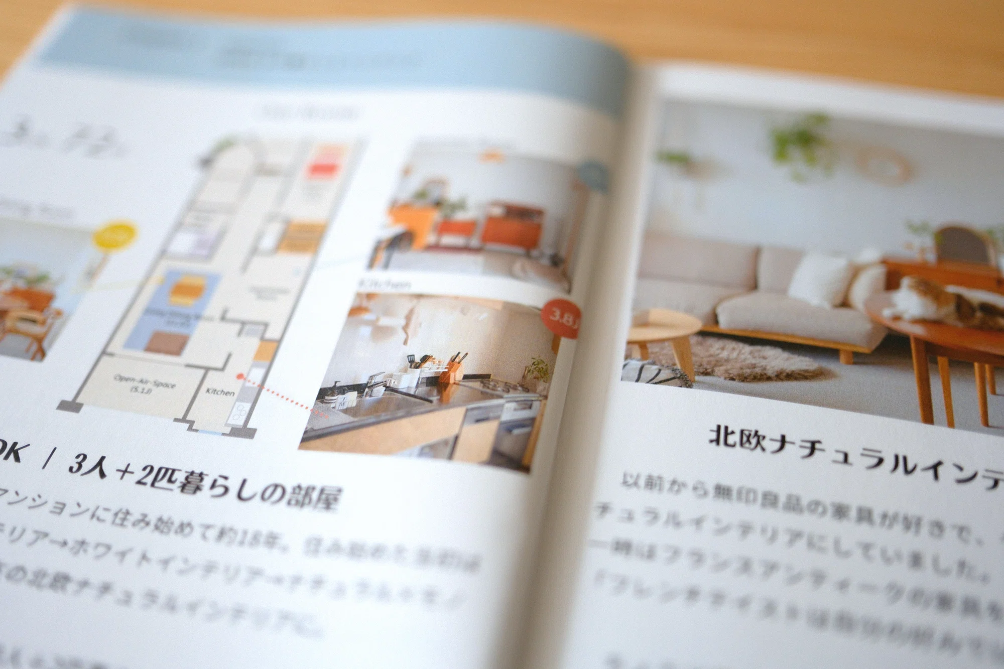 ダウンロード版ZINE】 暮らしと猫とインテリア ※冊子版リンクも