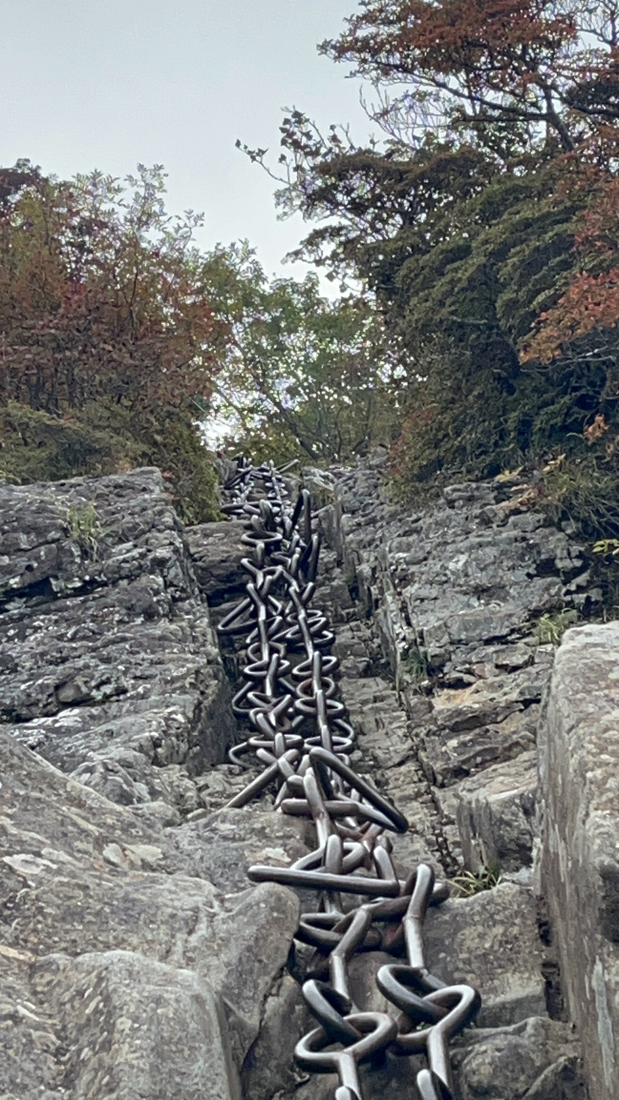 石鎚山へ登山。私が学んだ「勇気ある撤退」。。｜さーもん8