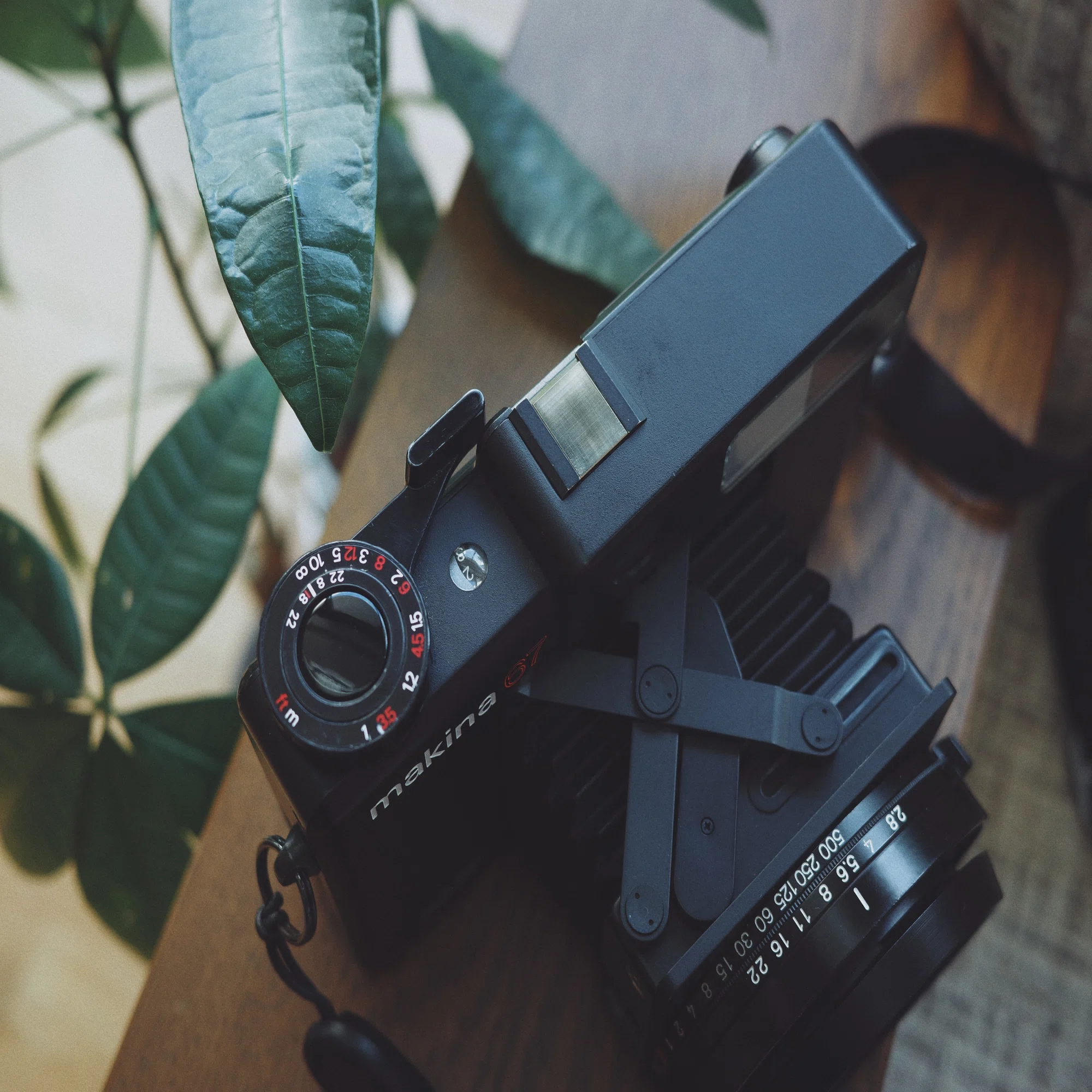 Film Roll】Plaubel Makina 67｜Jan. 2025｜本間 恭介 / MARKS 