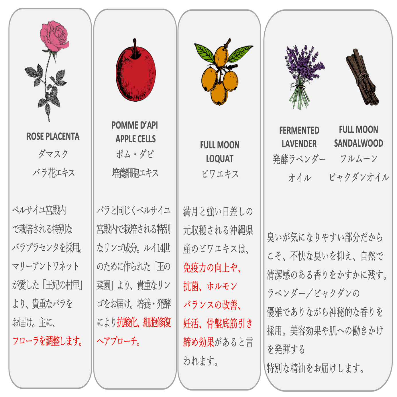 フェムケア＝デリケートゾーンケアだけではない。すべての女性に必要な